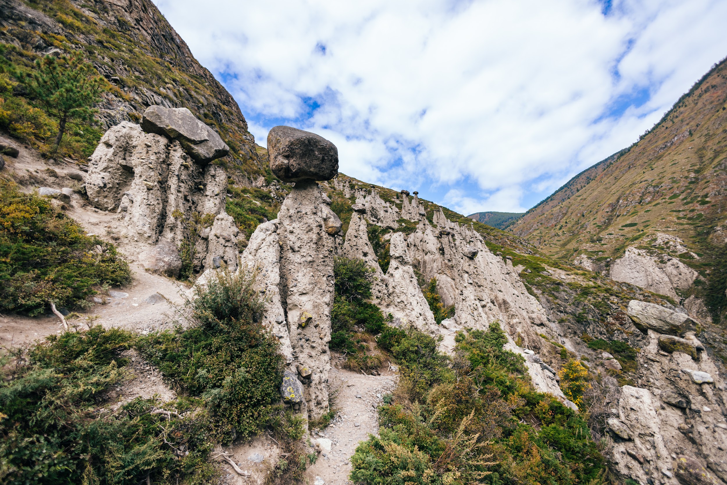 Топ-7 красот Алтая, полное погружение в красоту (18/33)