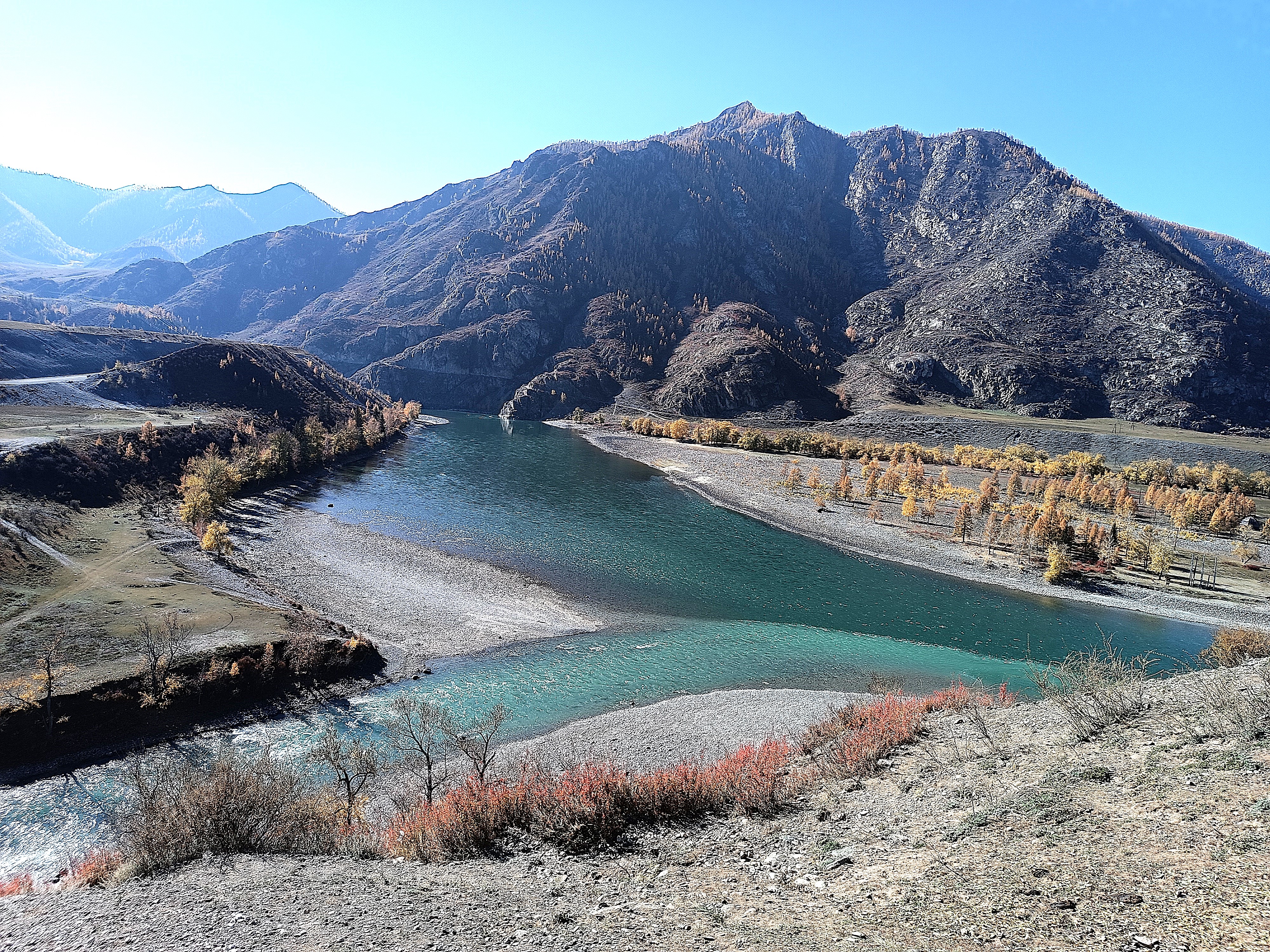 Тур по горному Алтаю  Цветение  маральника (11/17)