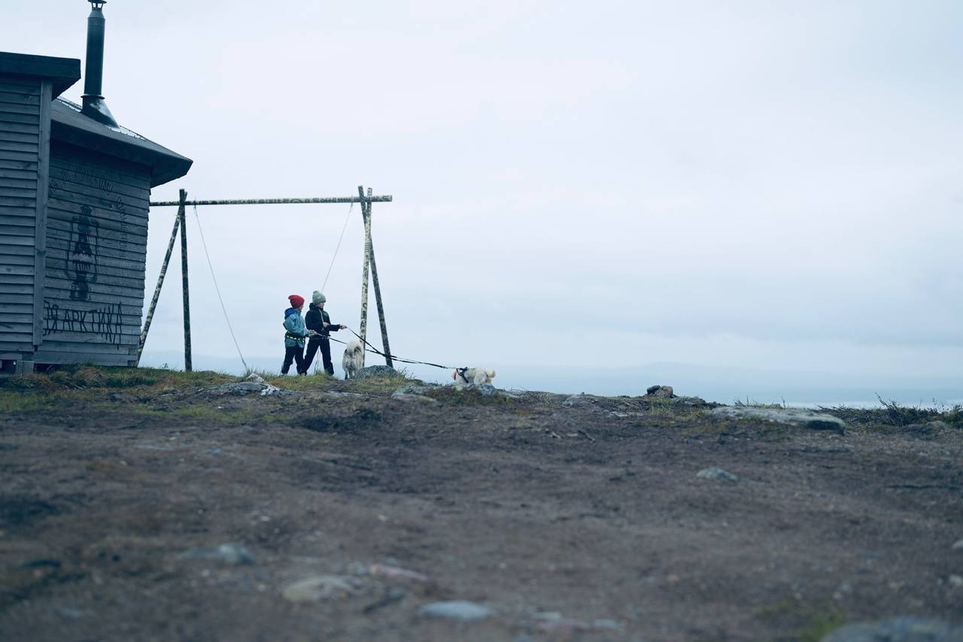 Премиум Териберка до 6 чел. Киты, Отель на берегу, Деликатесы, Сафари на квадрациклах (25/35)