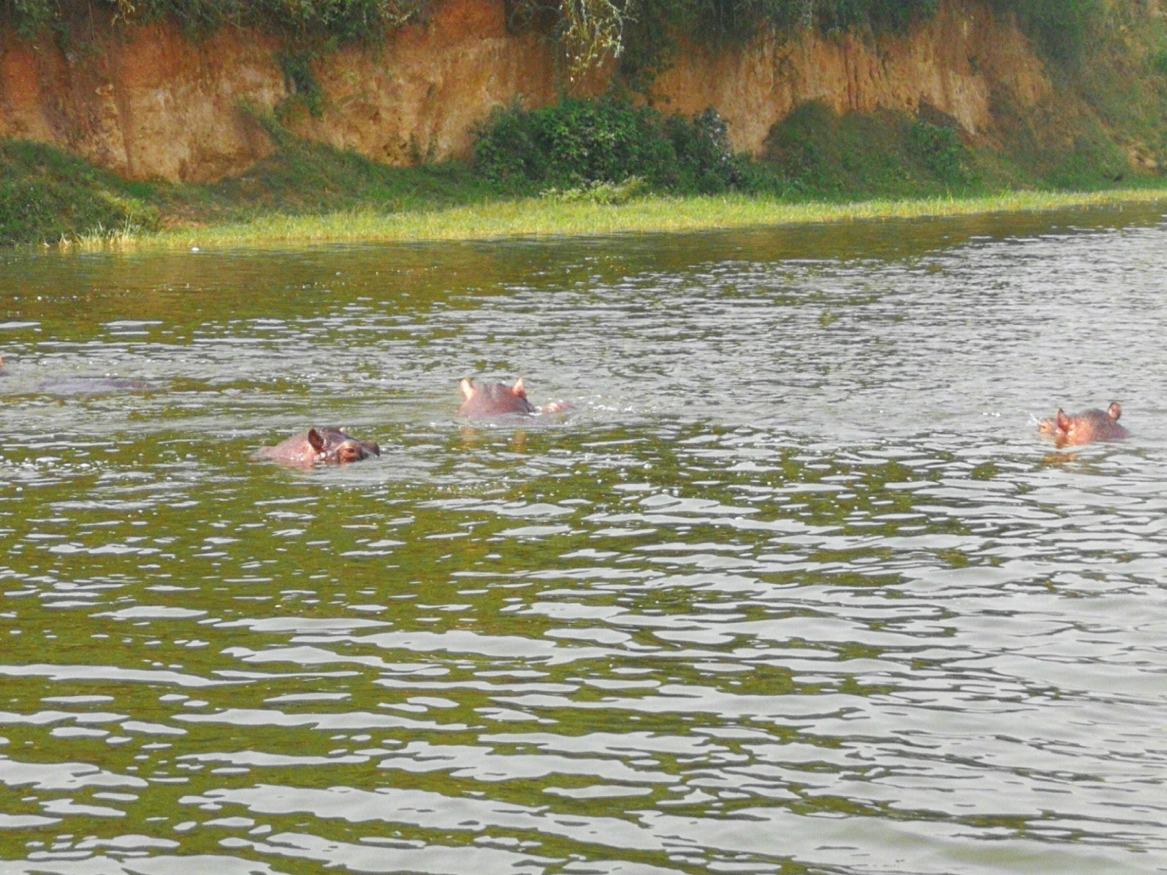Великая миграция и вся Большая пятерка в лучших сафари Кении, Танзании и Занзибара (13/40)