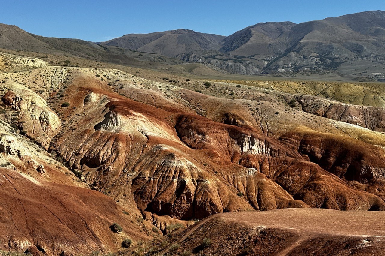Топ-7 красот Алтая, полное погружение в красоту (26/33)
