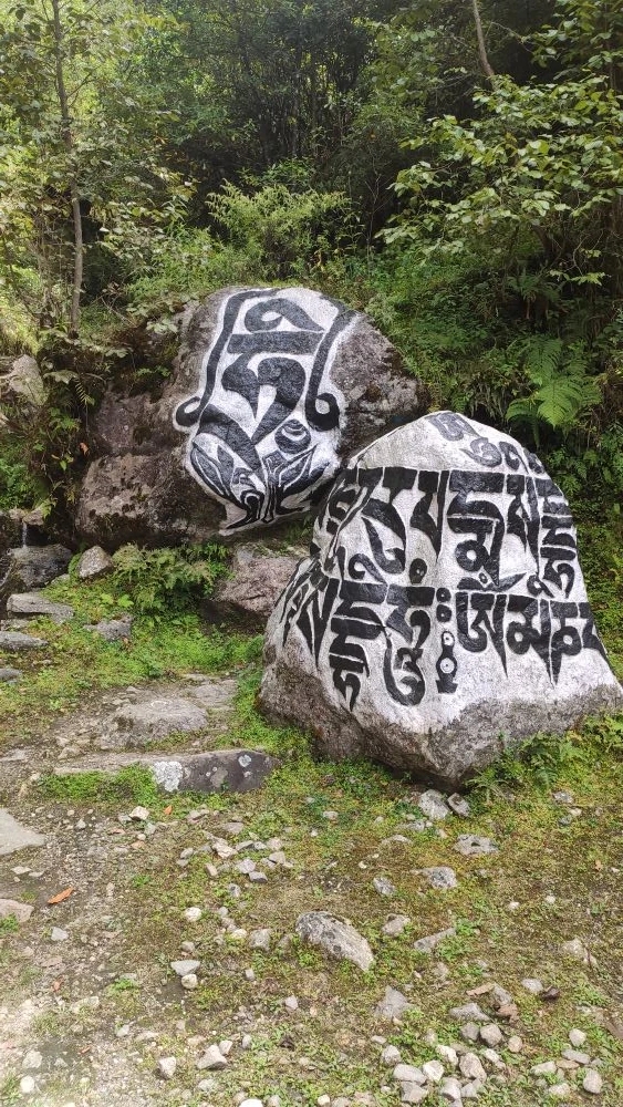 Трекинг к базовому лагерю Эвереста с восхождением на Кала-Паттар (18/48)