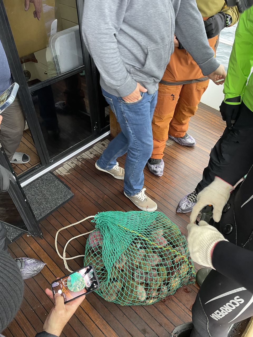 Премиум Териберка до 6 чел. Киты, Отель на берегу, Деликатесы, Сафари на квадрациклах (13/35)