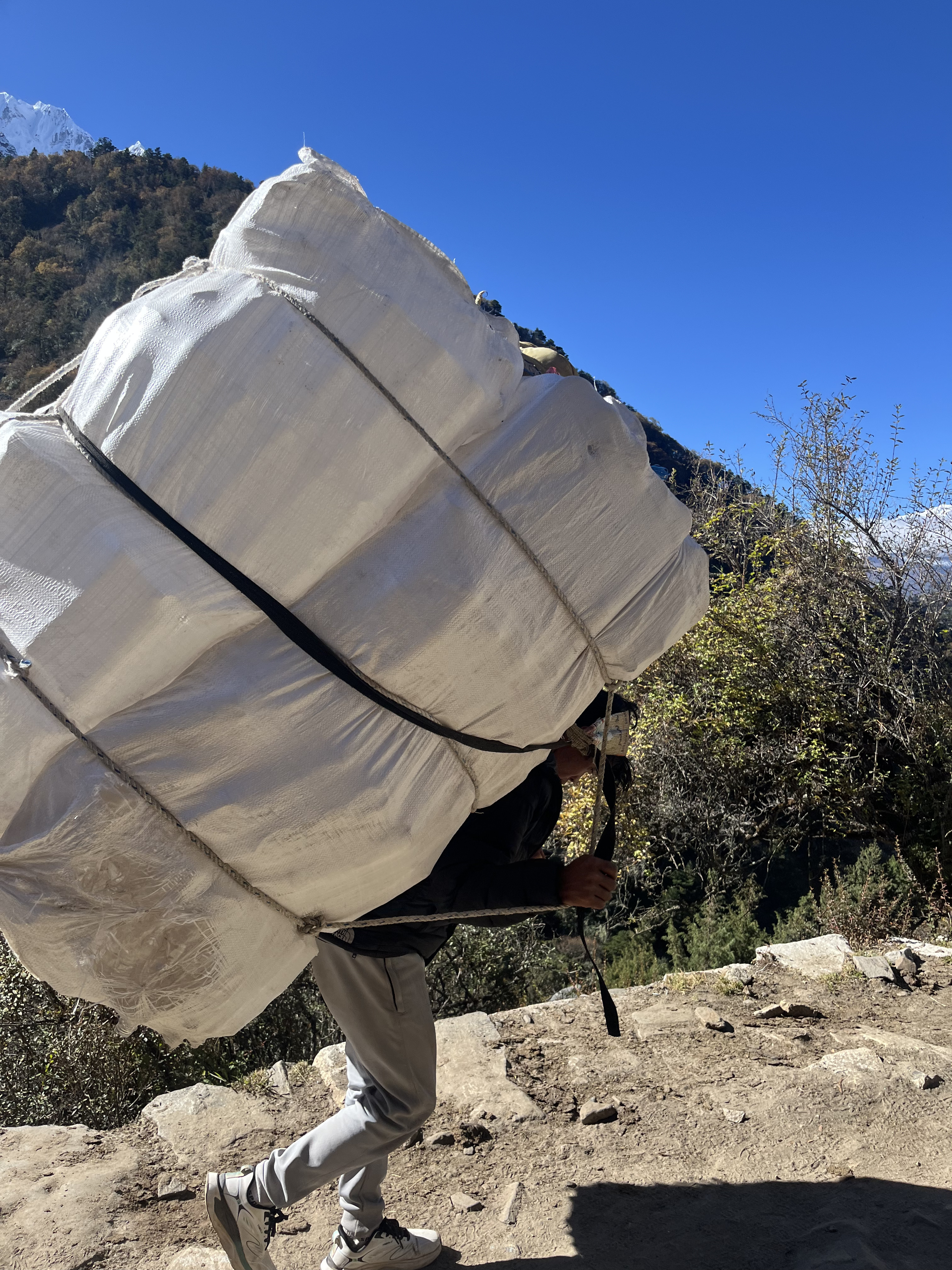 Трекинг к базовому лагерю Эвереста с восхождением на Кала-Паттар (40/48)