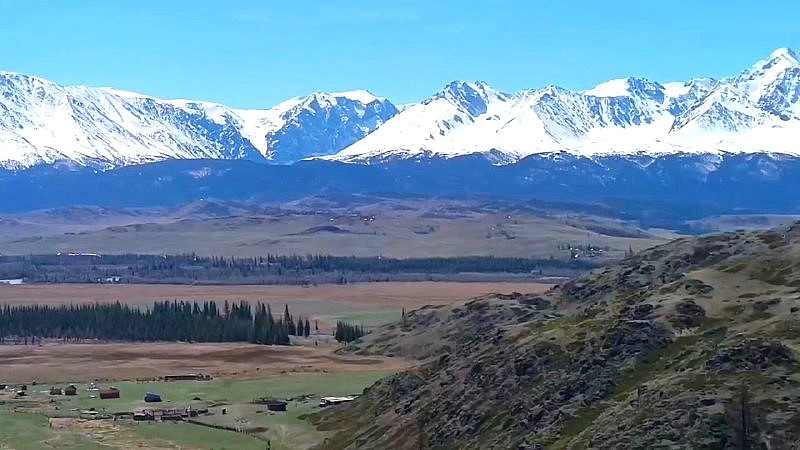 Тур по горному Алтаю  Цветение  маральника (3/17)