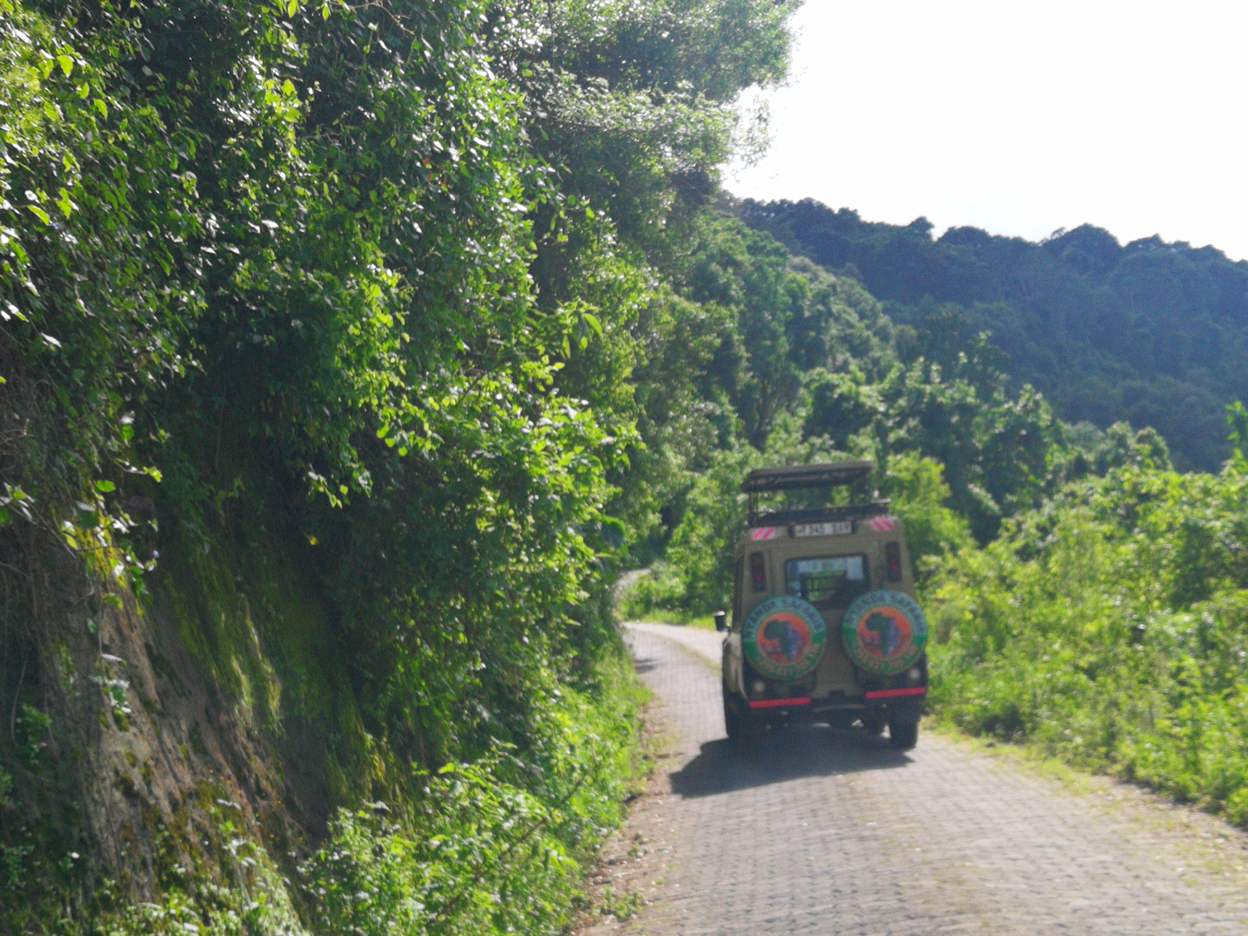 Великая миграция и вся Большая пятерка в лучших сафари Кении, Танзании и Занзибара (16/40)