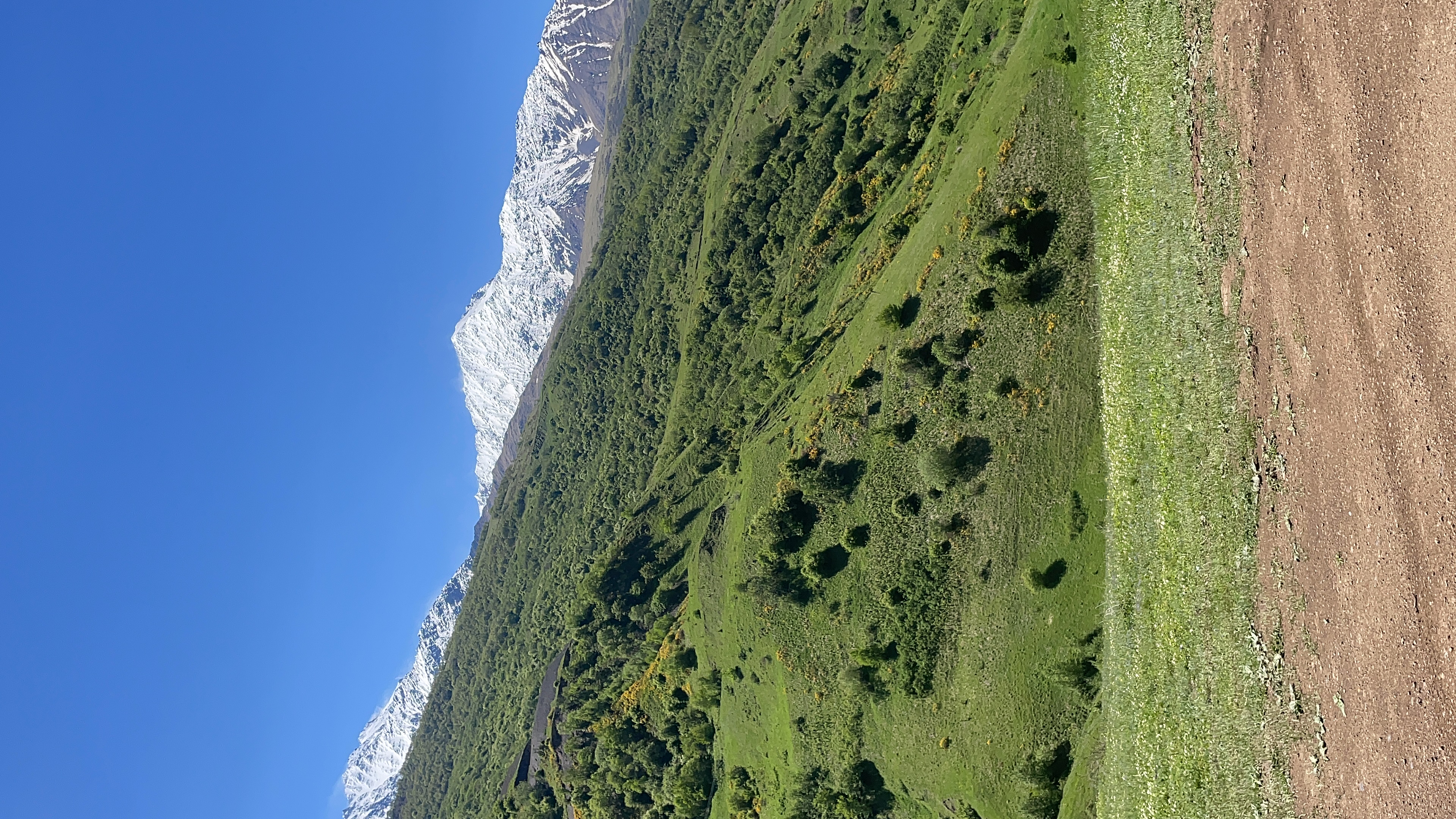 3 дня весны в Осетии с лавочкой счастья. Авторский тур. (10/19)