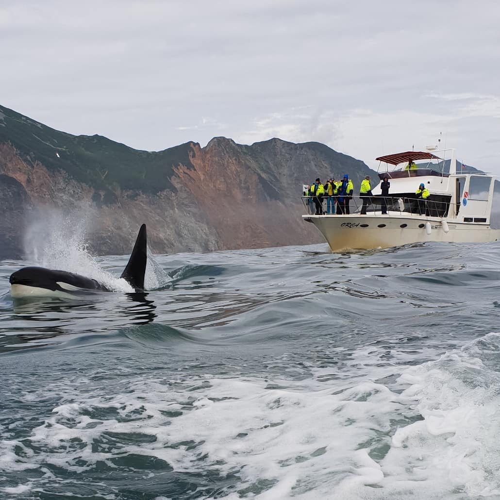 Камчатка в июне (7/23)