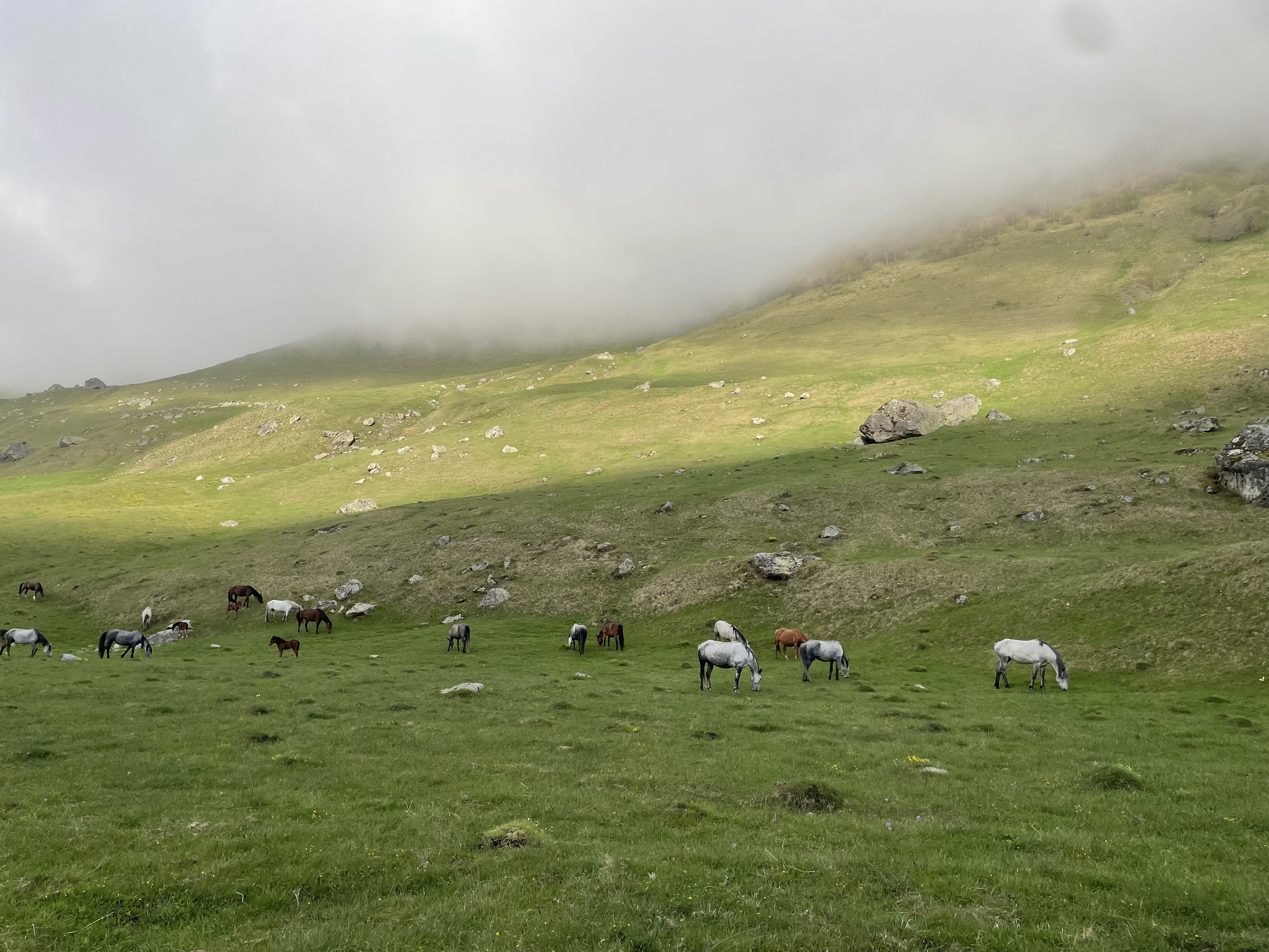3 дня весны в Осетии с лавочкой счастья. Авторский тур. (8/19)