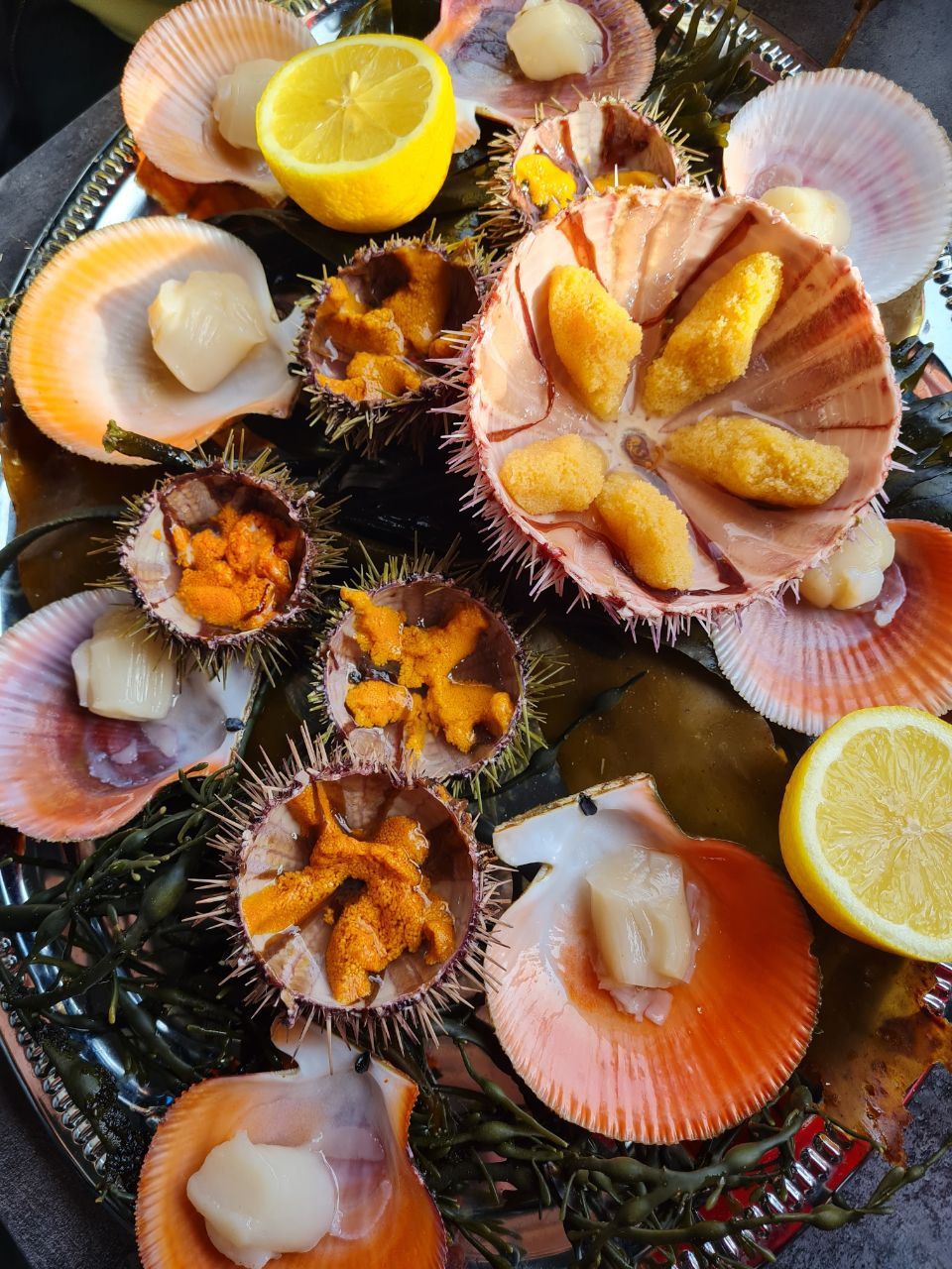 Премиум Териберка до 6 чел. Киты, Отель на берегу, Деликатесы, Сафари на квадрациклах (17/35)