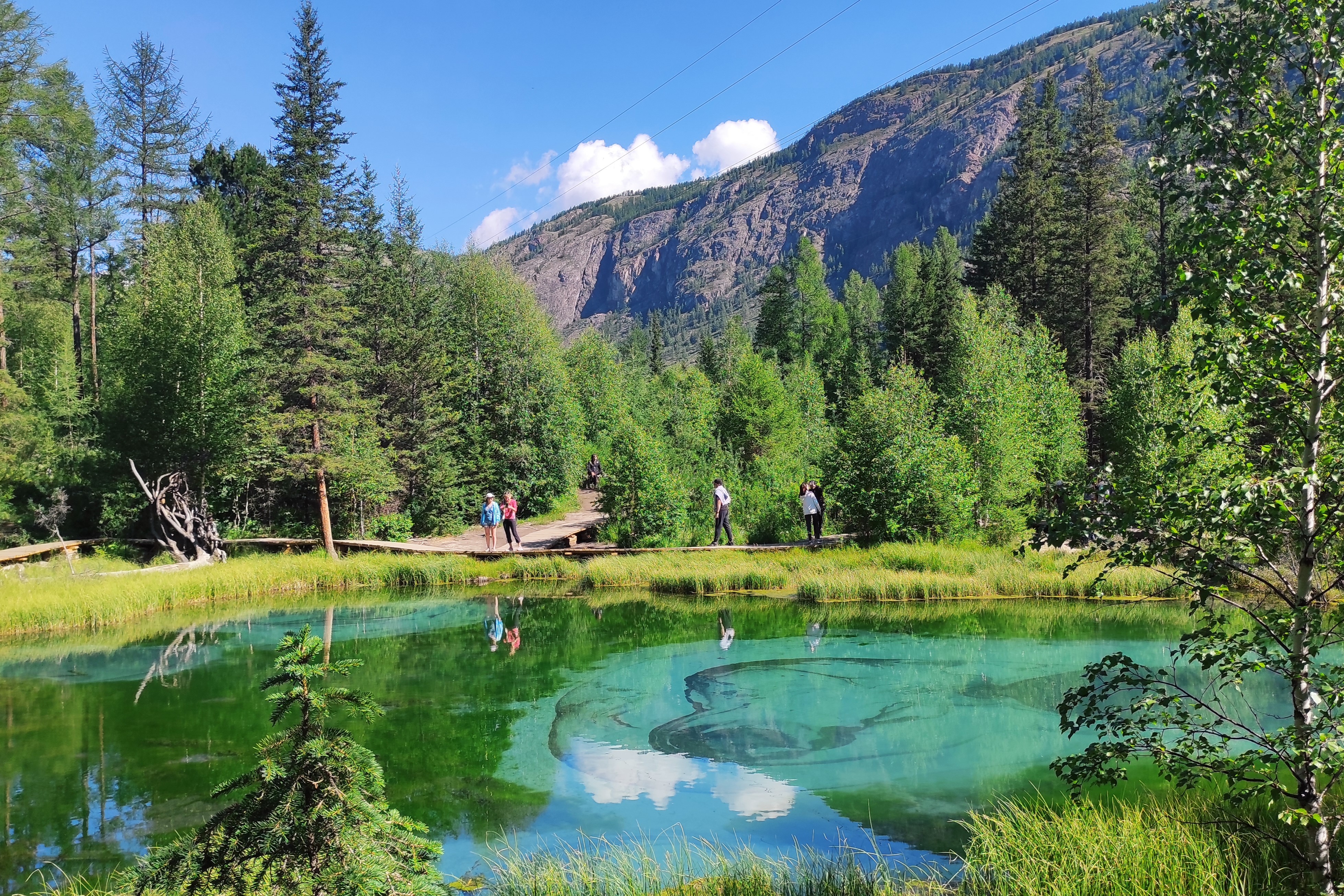 Топ-7 красот Алтая, полное погружение в красоту (27/33)
