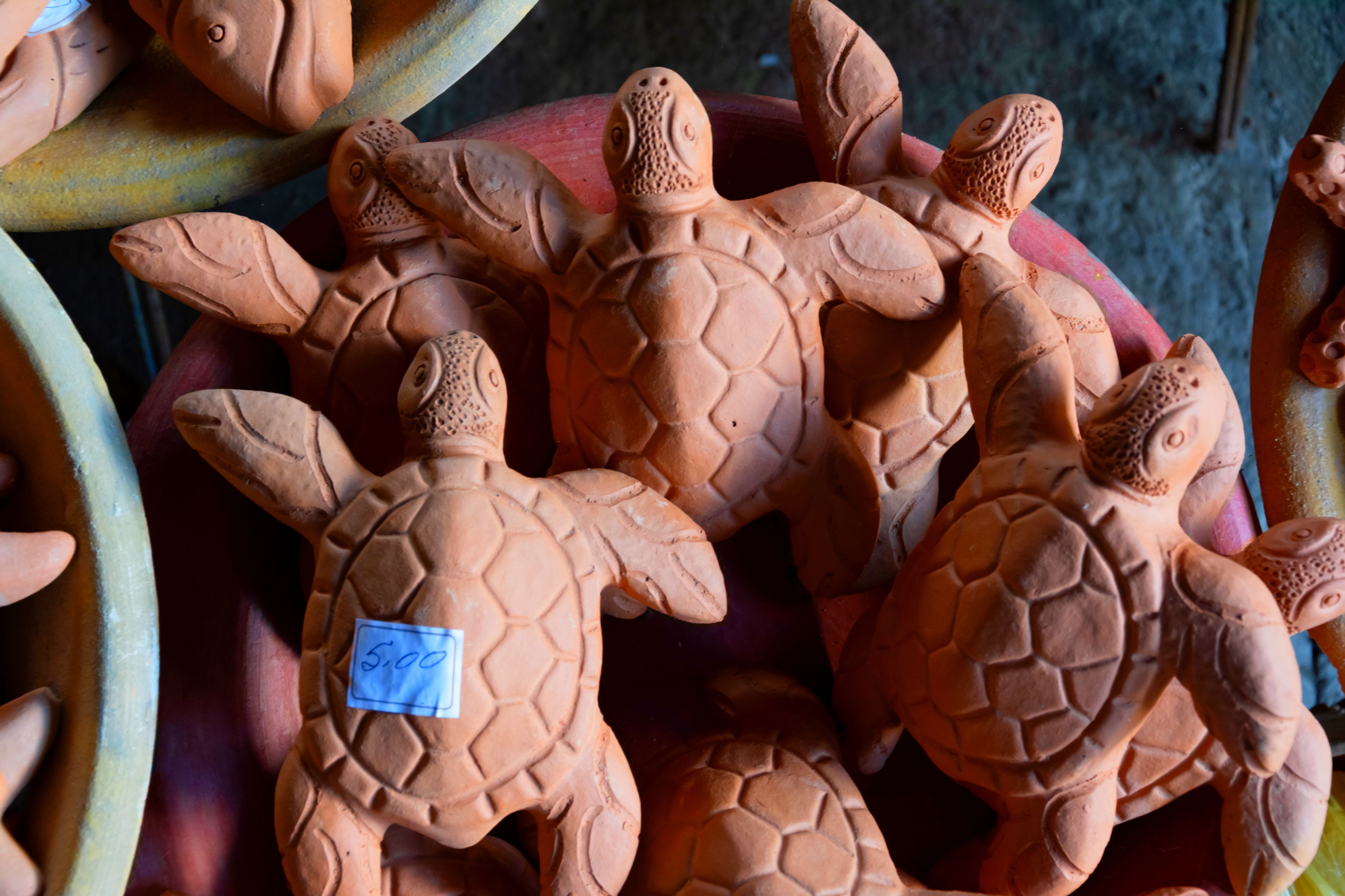 Мексика Галапагосские острова - поцелуи с китами (47/48)