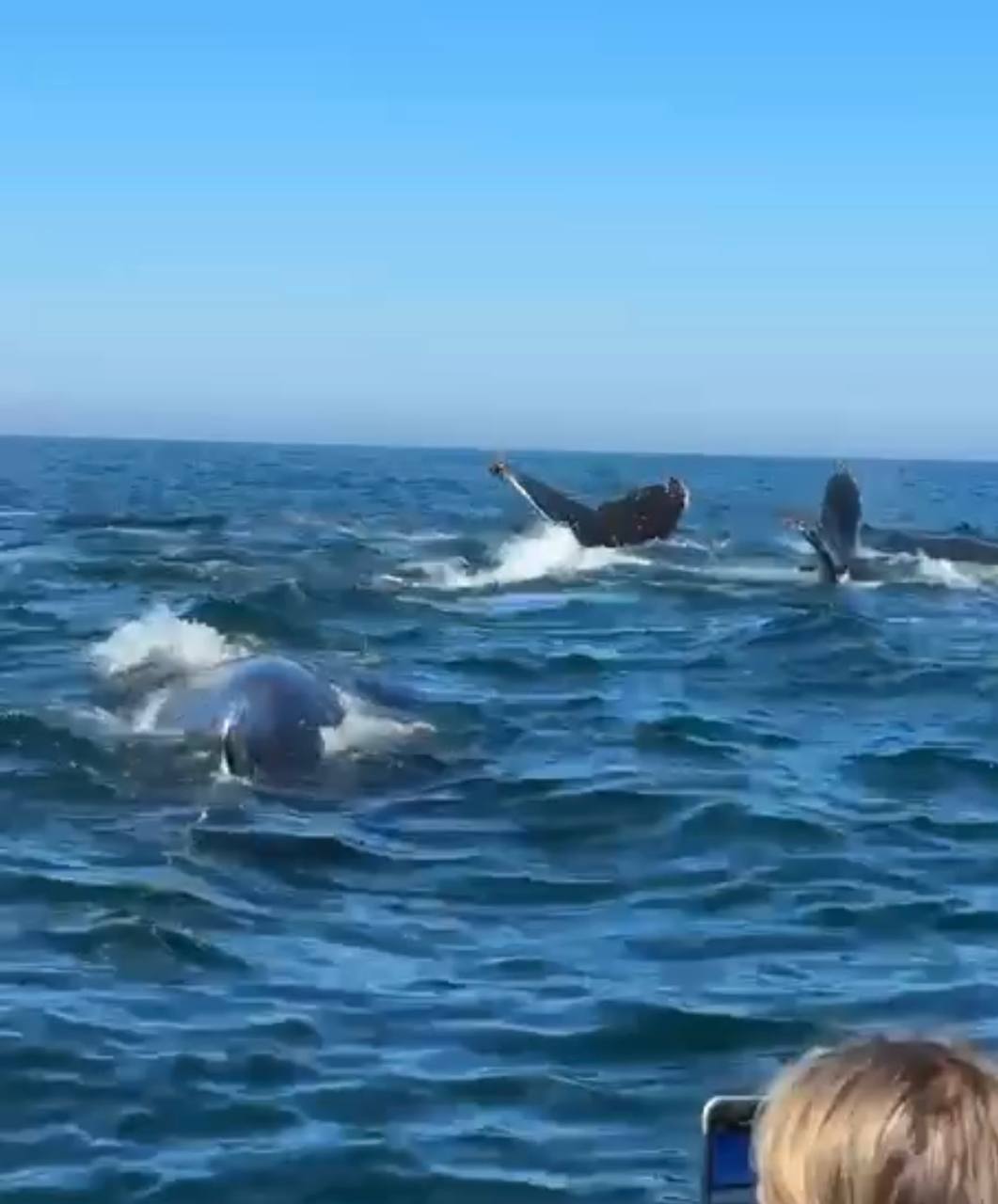 Кейптаун. Пополняем коллекцию впечатлений (25/30)