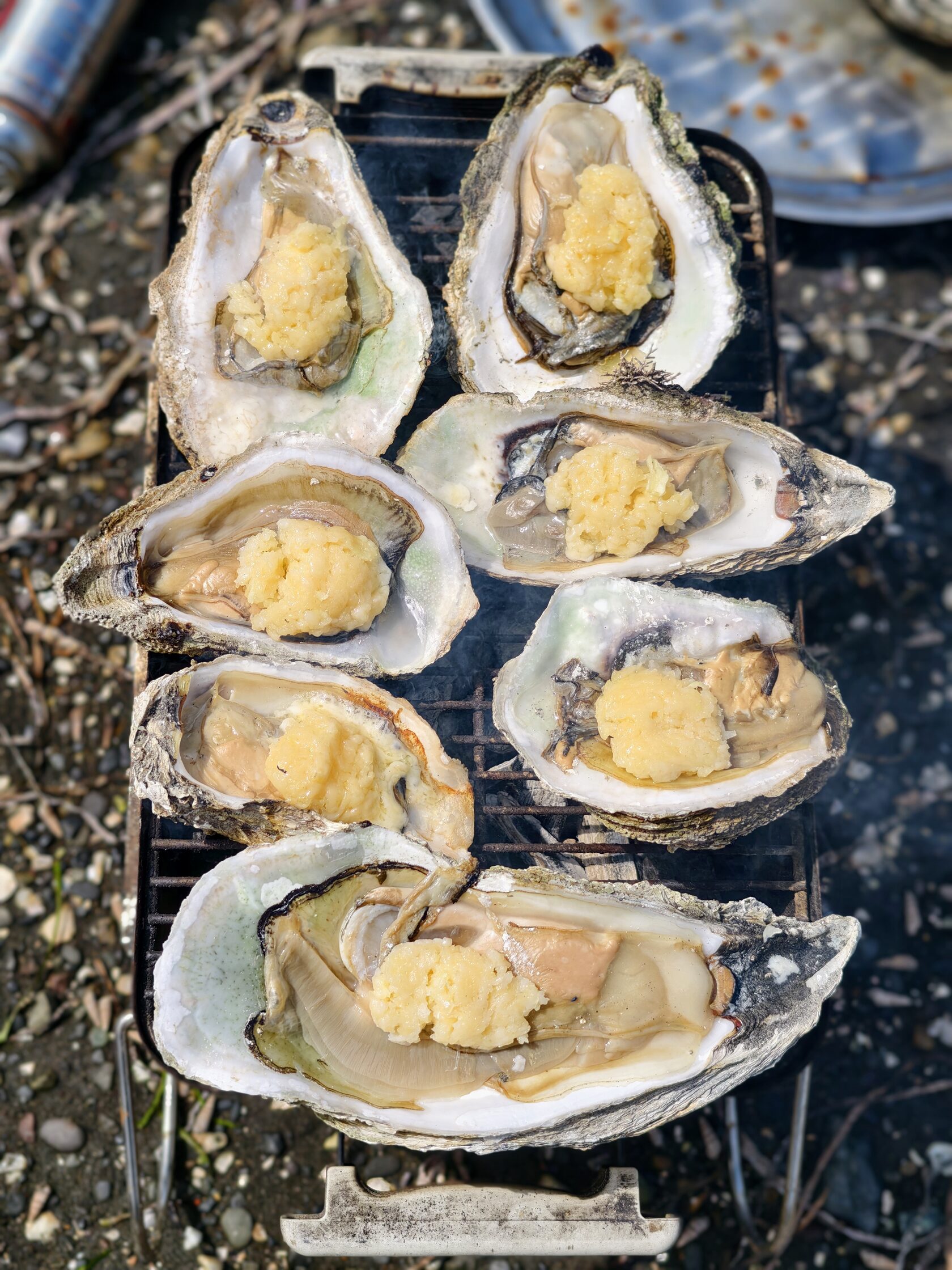 Сахалин и Курилы: Край огненной Земли и диких морей (стандарт) (5/21)