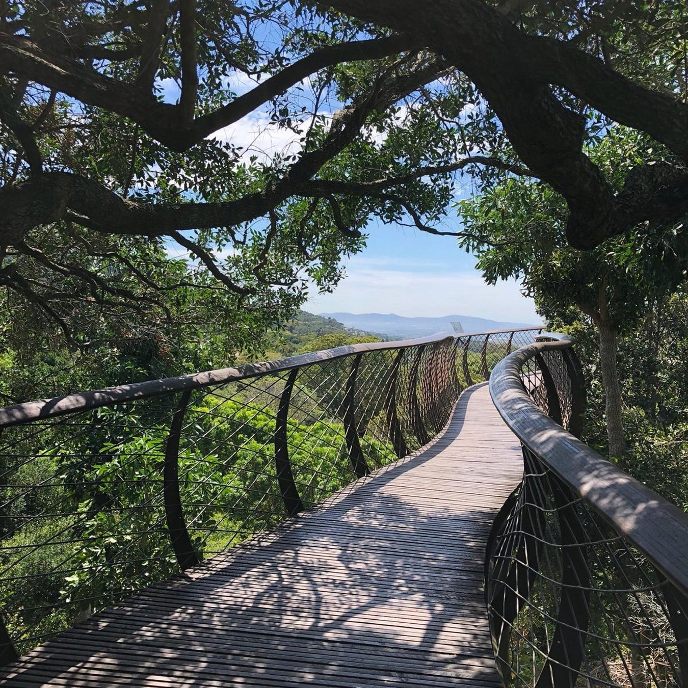 Кейптаун. Пополняем коллекцию впечатлений (3/30)