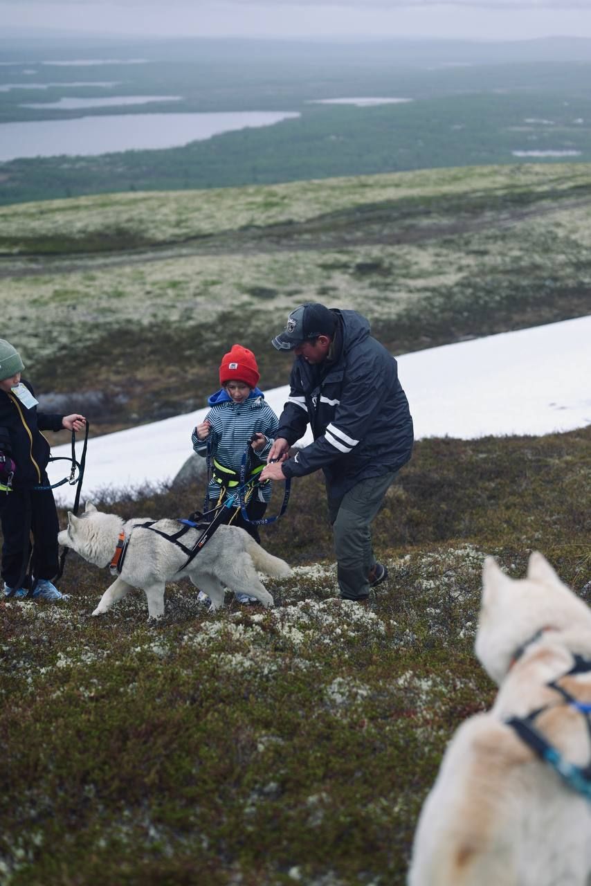Премиум Териберка до 6 чел. Киты, Отель на берегу, Деликатесы, Сафари на квадрациклах (24/35)
