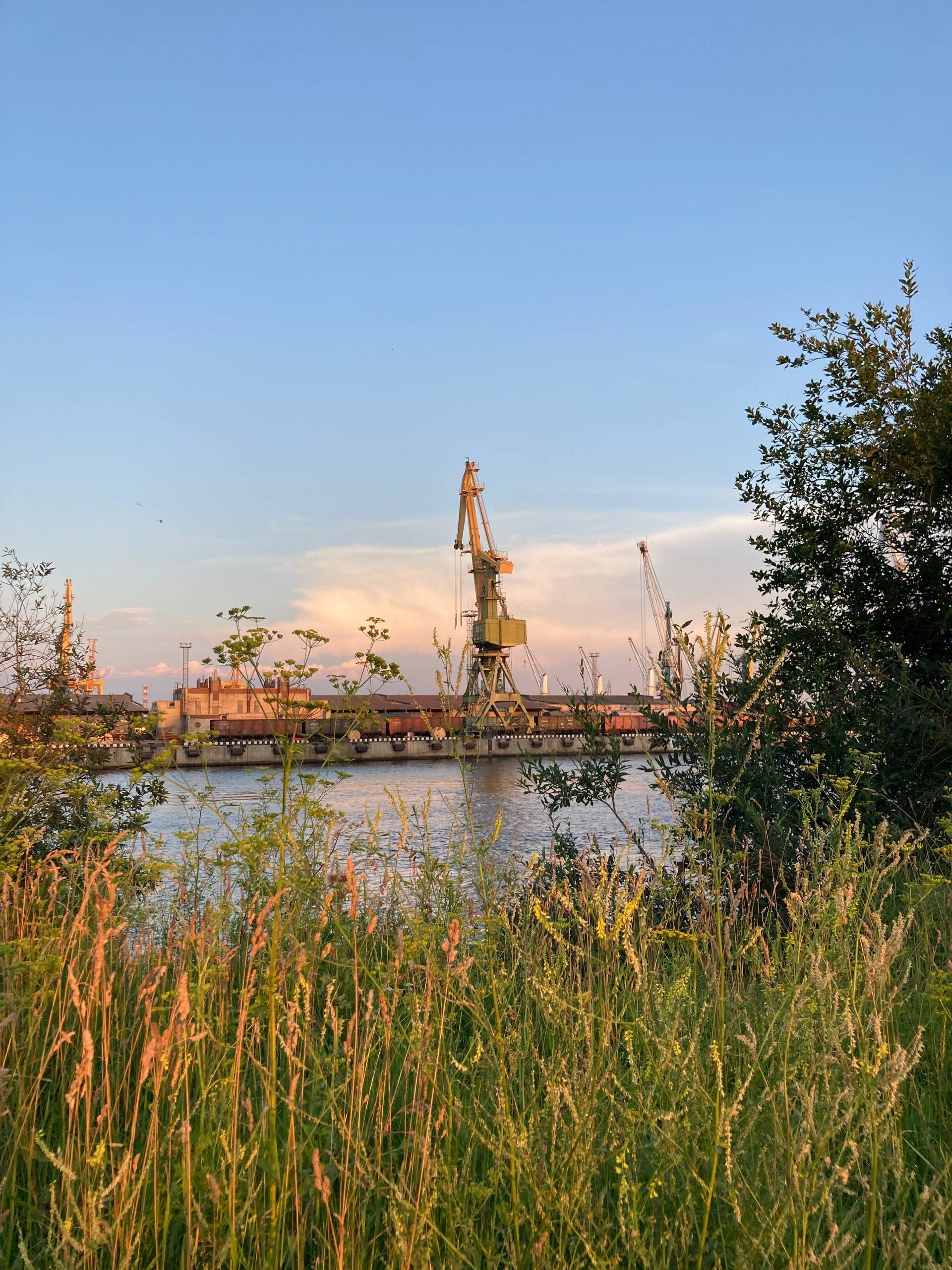 Порт, маяки и острова: Матисов, Гутуевский, Канонерский (6/18)