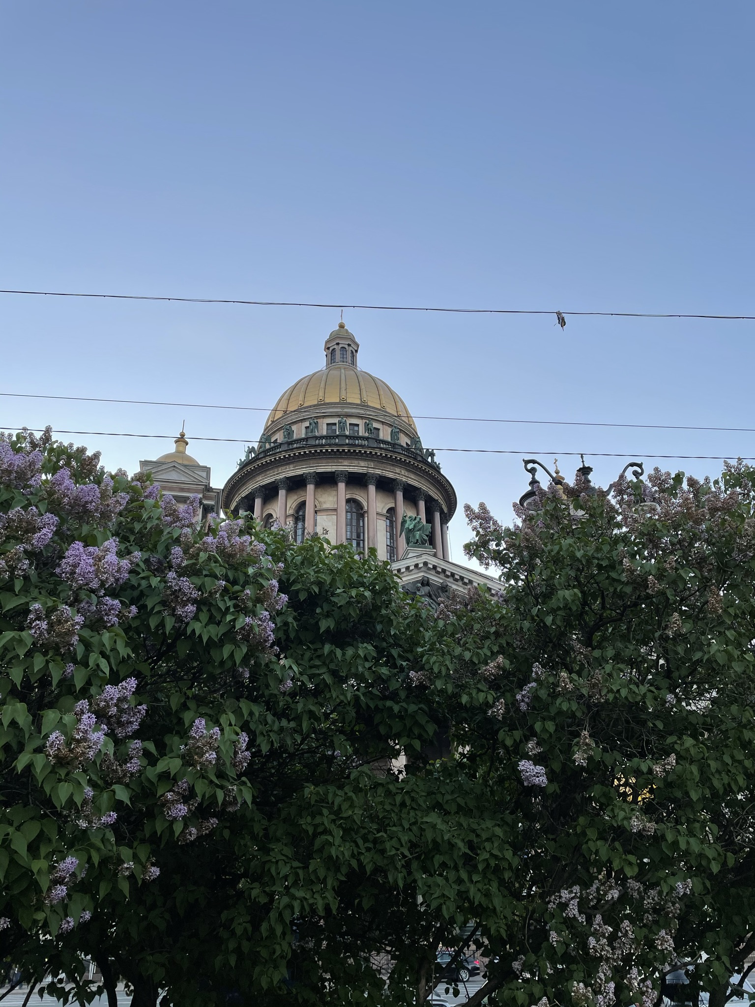 Корюшка идёт! (7/13)