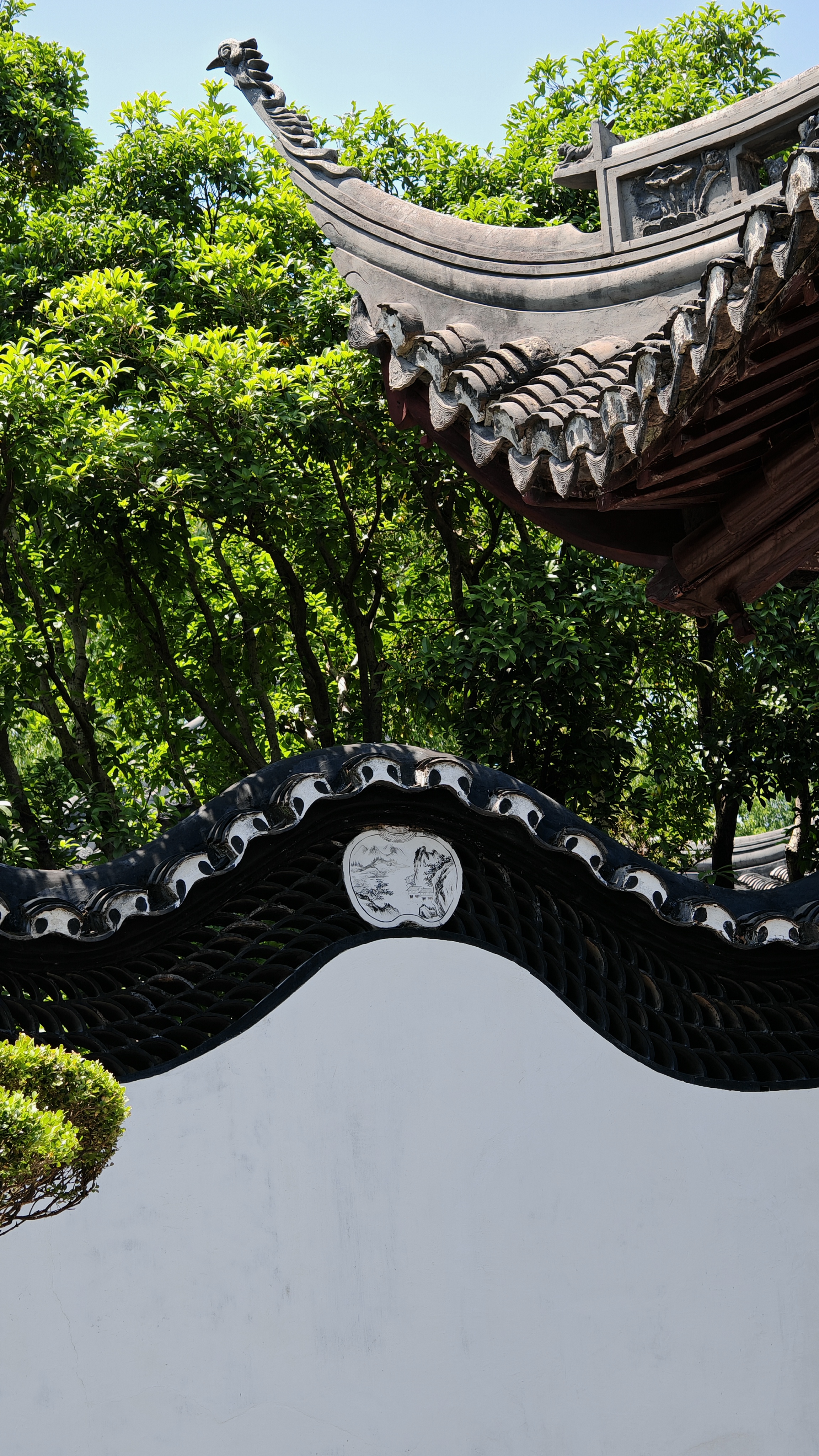 Красоты Восточного Китая: Шанхай, Чжуцзяцзяо, озеро Циншань, рассвет в горах Хуаншань (28/56)