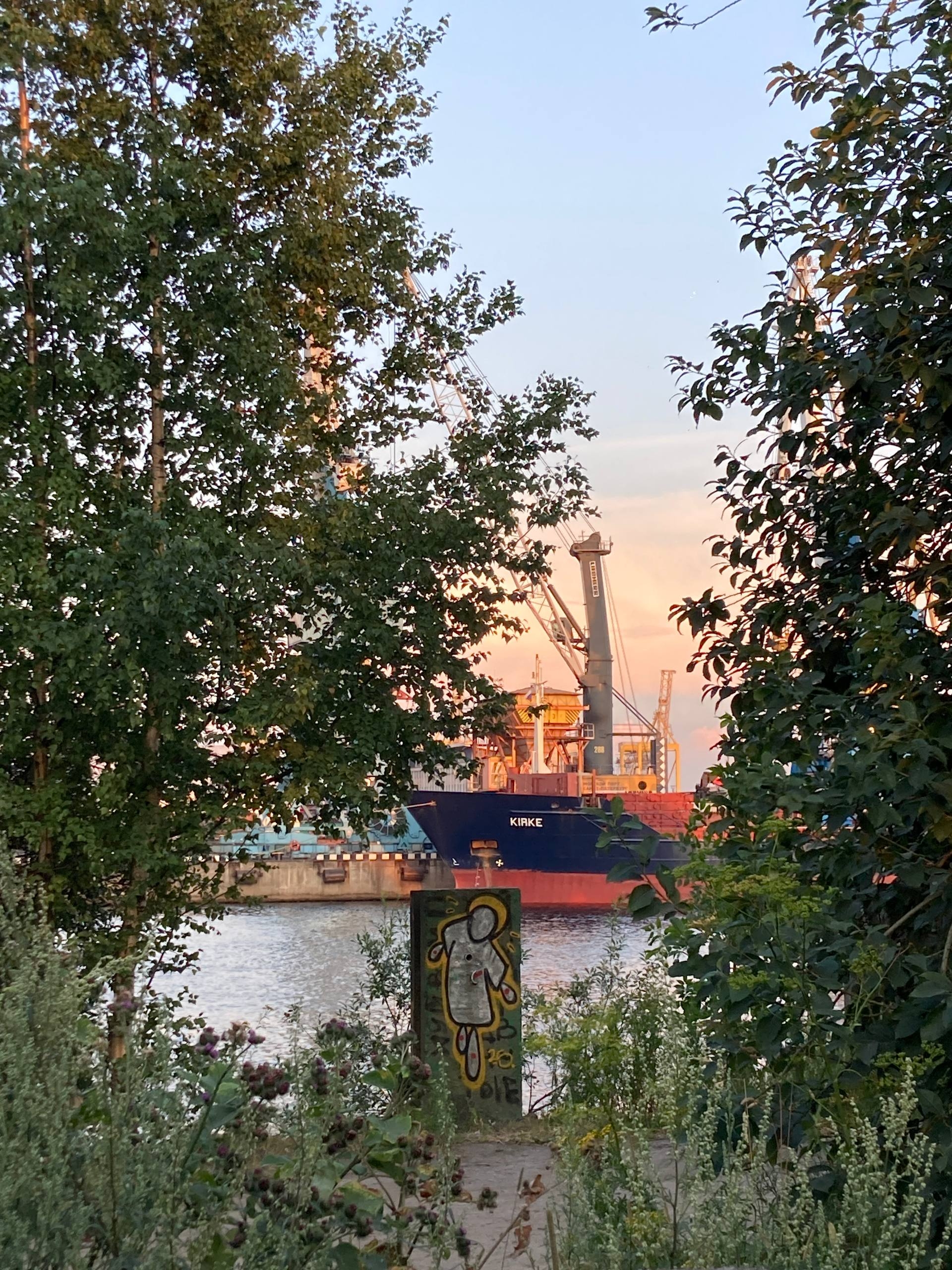 Порт, маяки и острова: Матисов, Гутуевский, Канонерский (11/18)