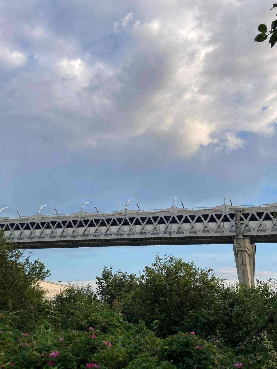 Порт, маяки и острова: Матисов, Гутуевский, Канонерский (9/18)