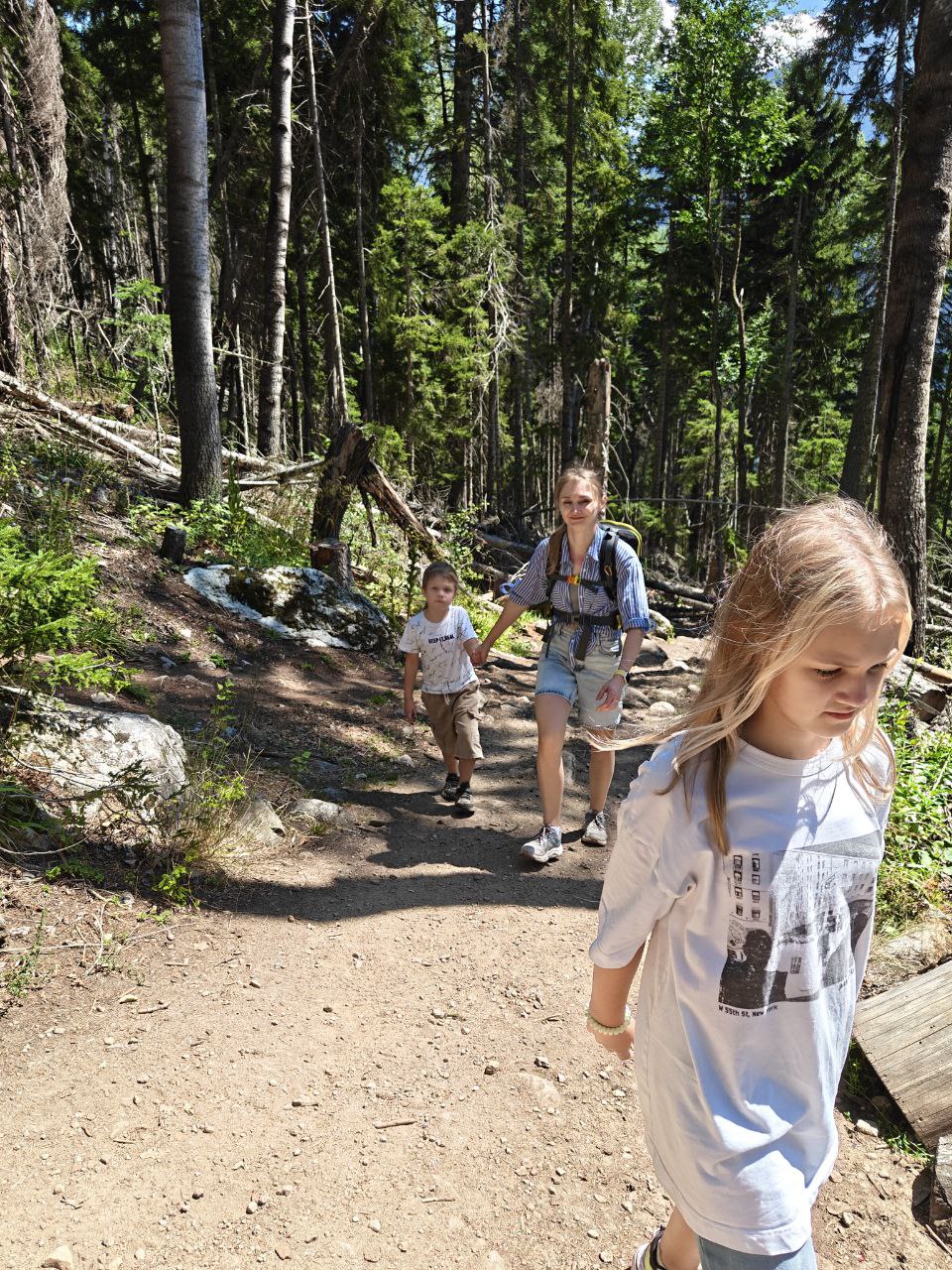 Остров сокровищ: в поисках карты старого пирата (20/20)