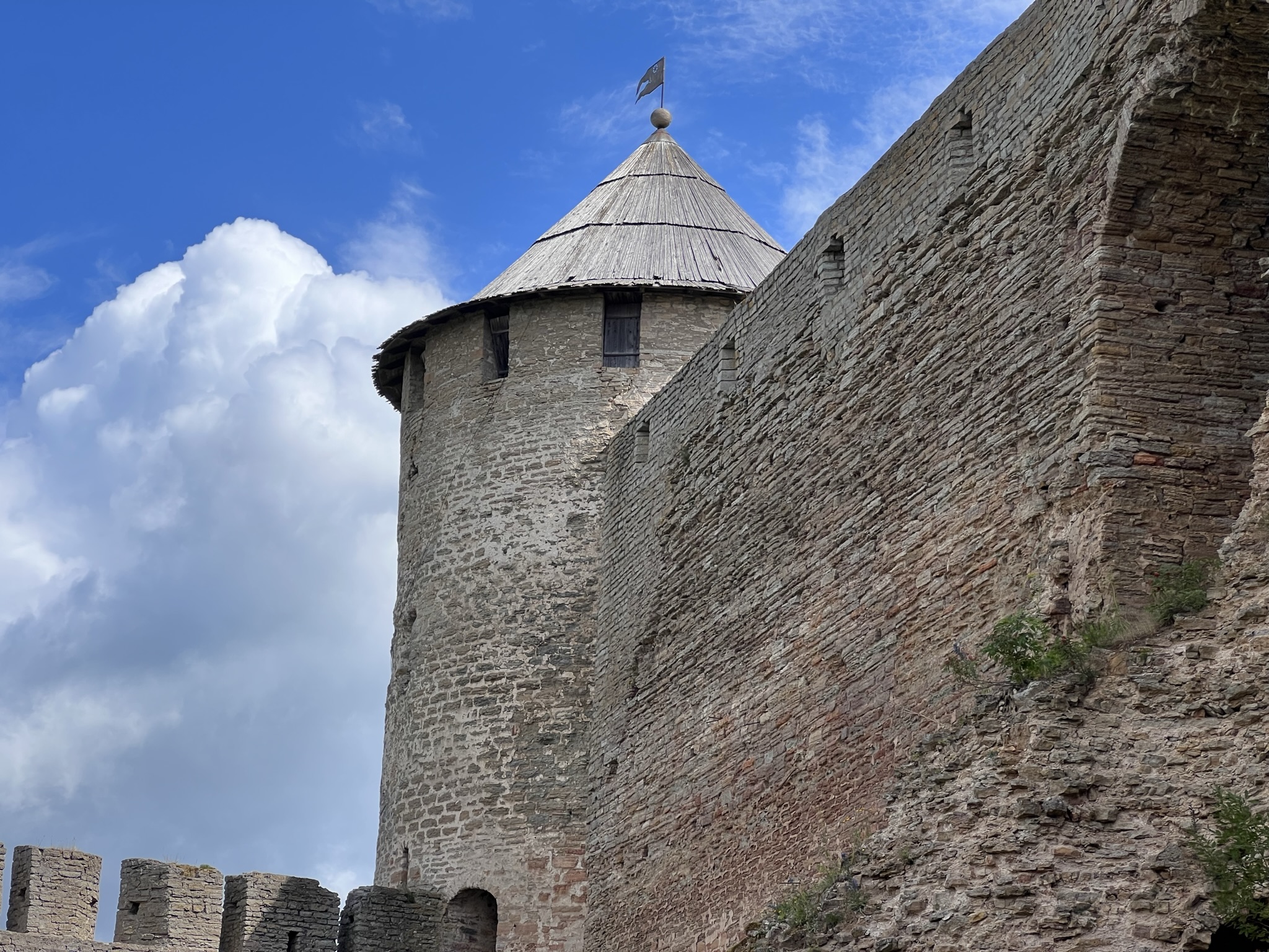 Ивангород Елизаветино: морские ежи, миноги, крепости, усадьбы (5/12)