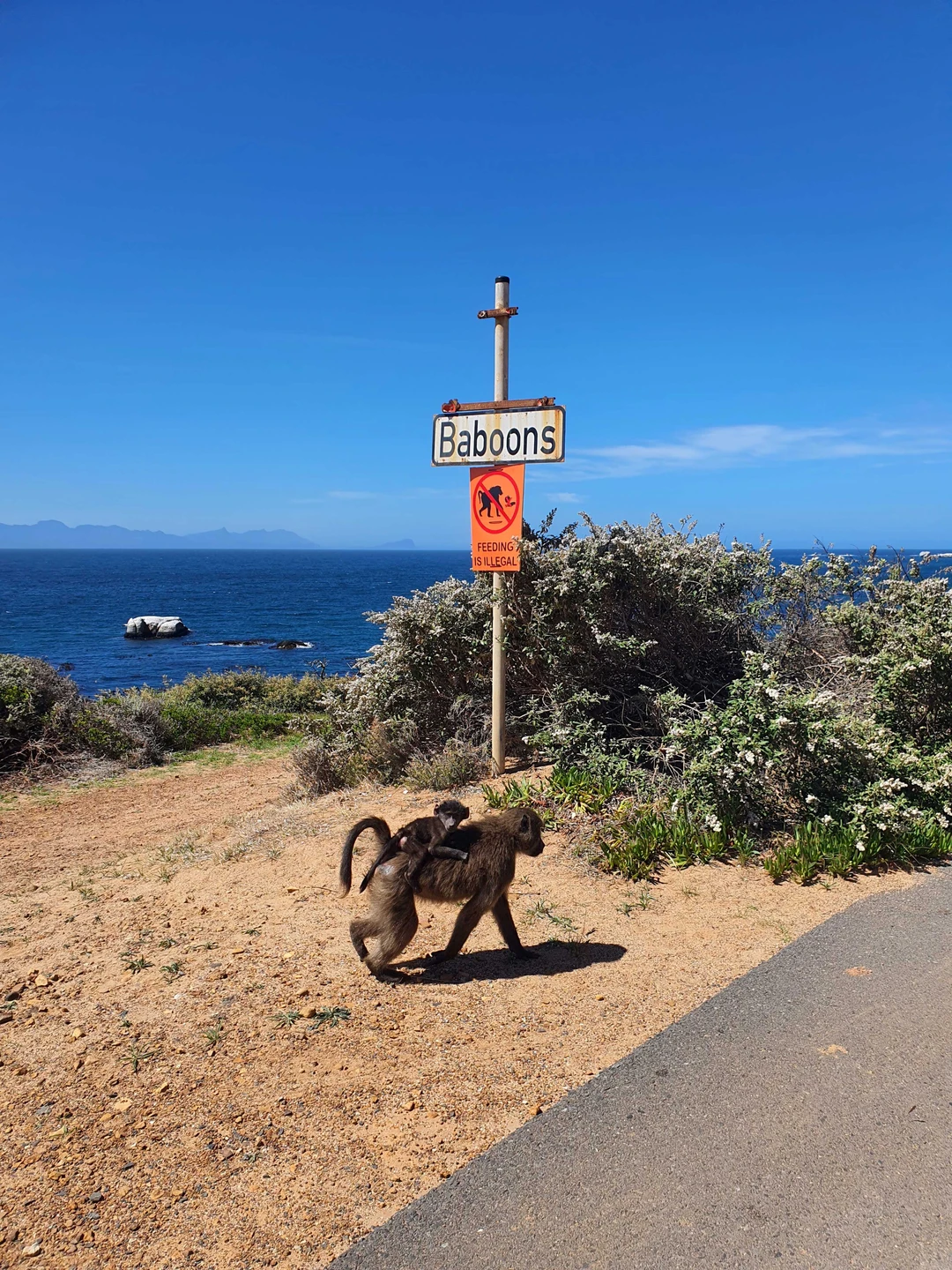 Дыхание Африки (7/13)