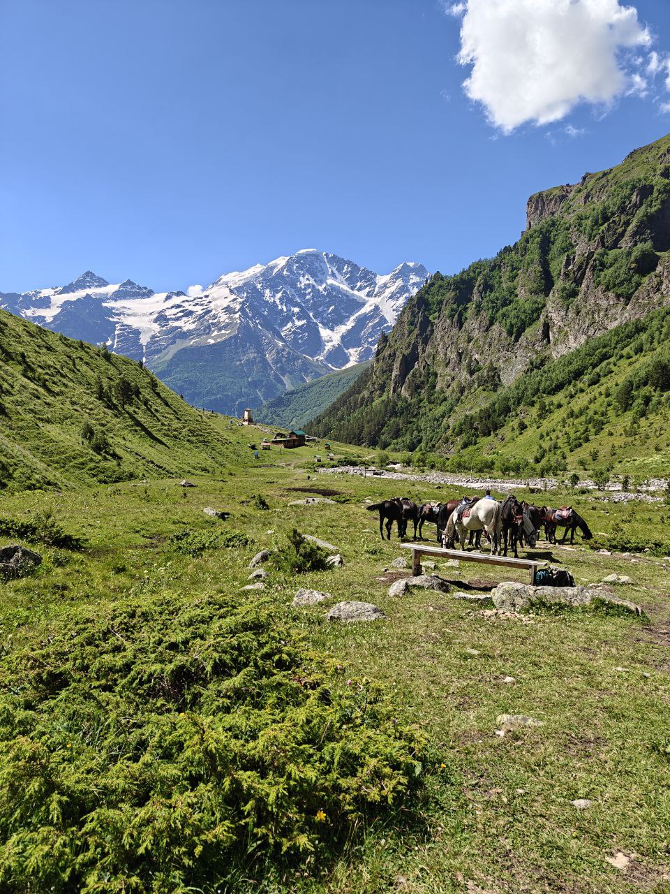 Фитнес-тур Вершины Кавказа  7 дней  Всё включено (95/105)