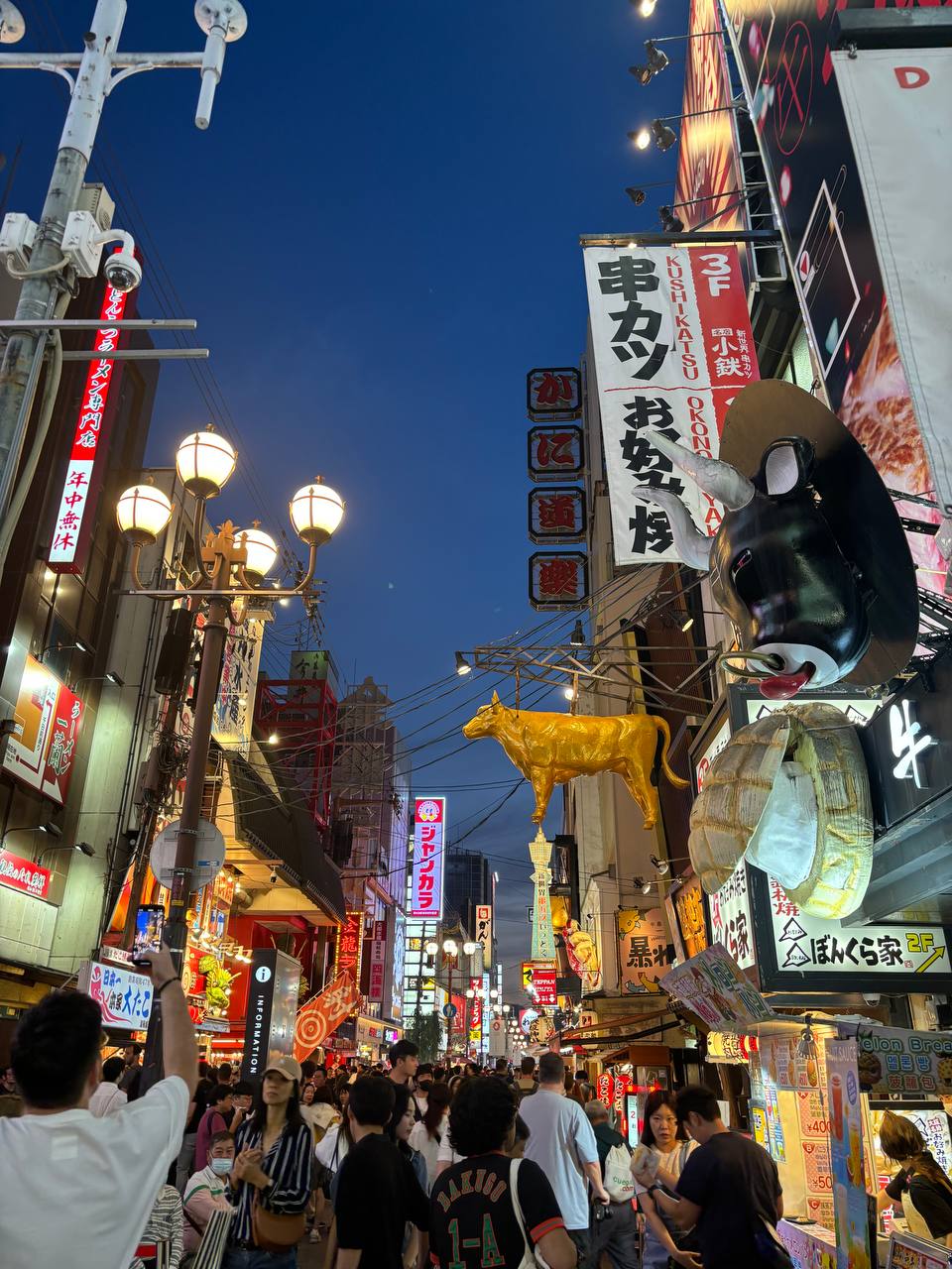 Японский праздник жизни  Япония Осень (31/38)