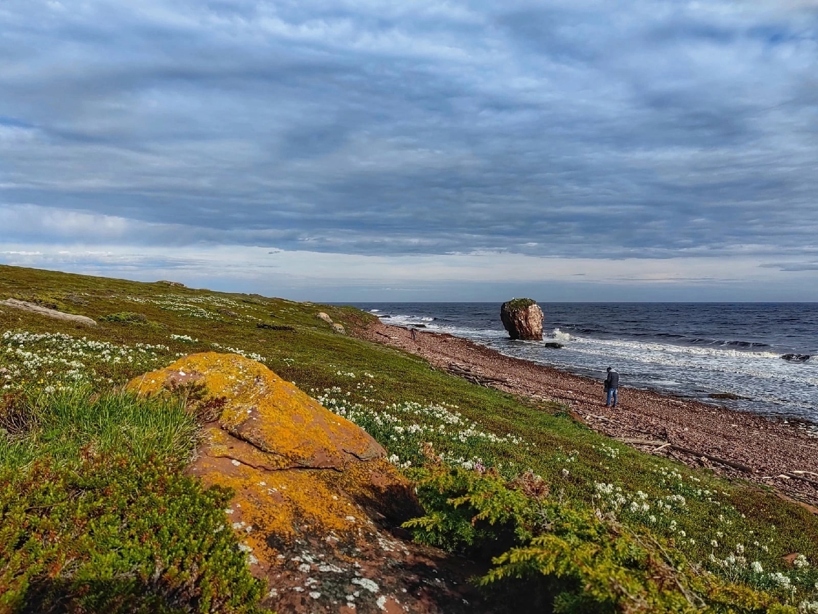 Лапландия Кольского полуострова: Терский берег и дикая природа севера (9/16)