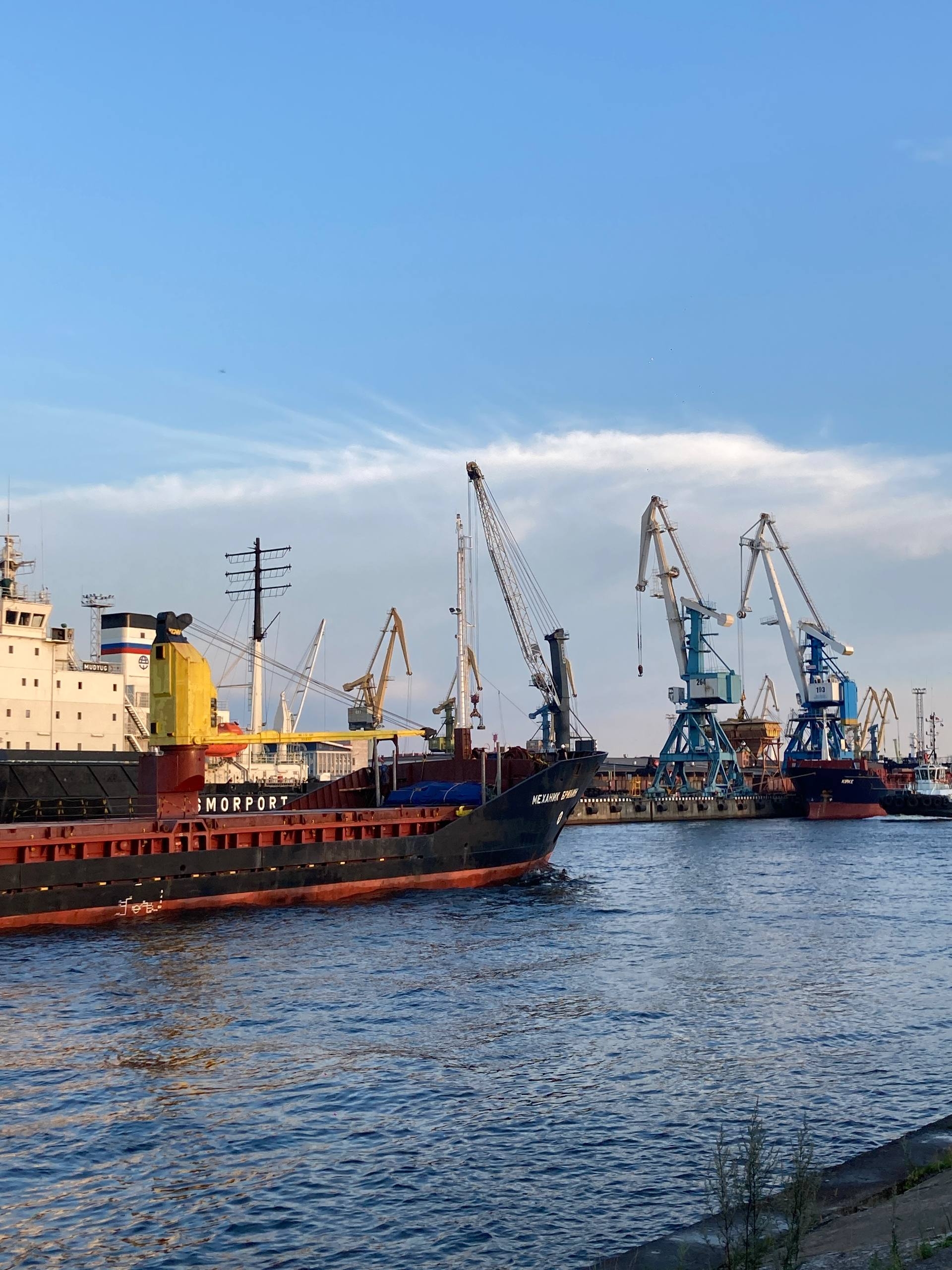 Порт, маяки и острова: Матисов, Гутуевский, Канонерский (12/18)