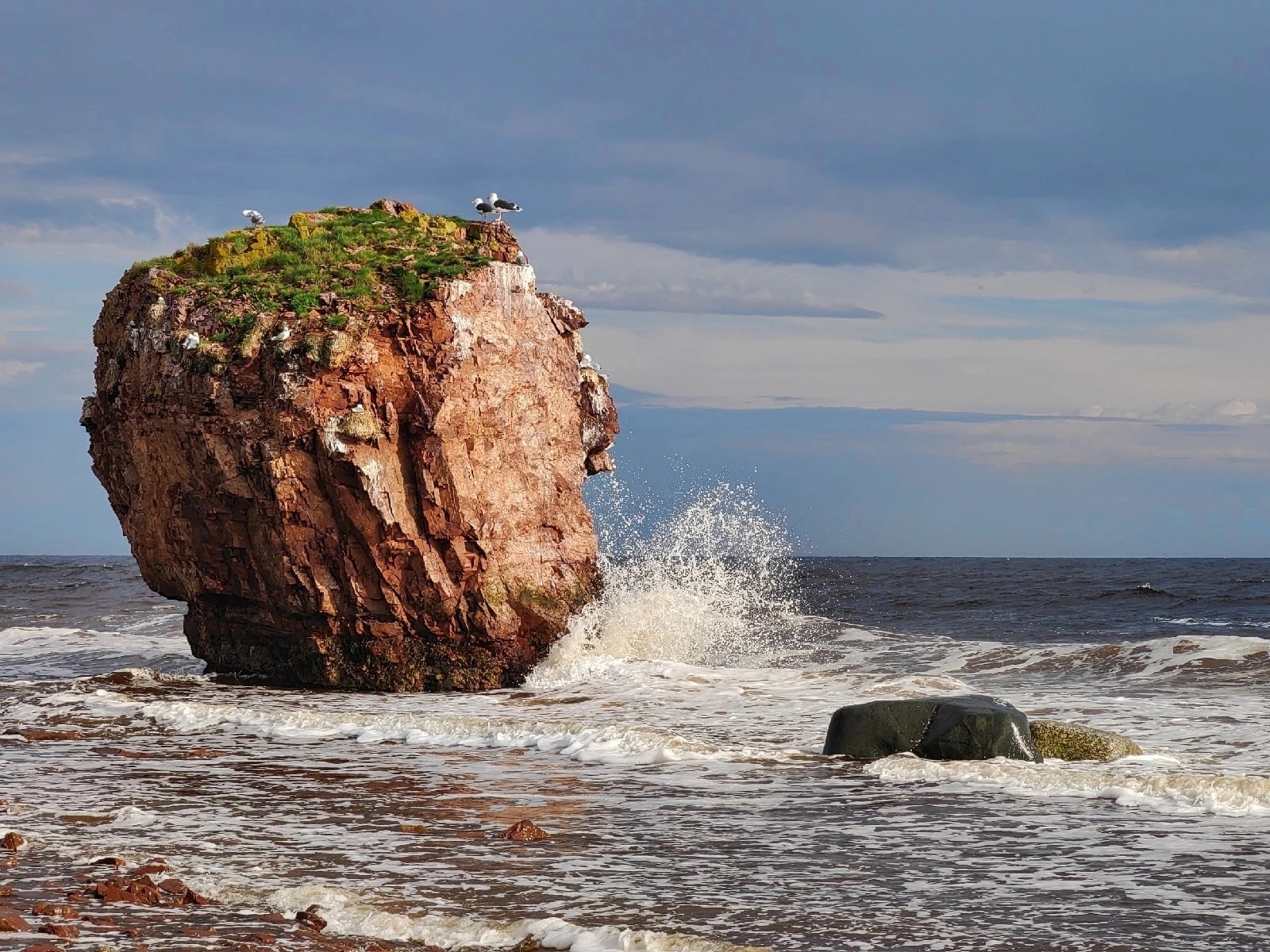 Лапландия Кольского полуострова: Терский берег и дикая природа севера (10/16)