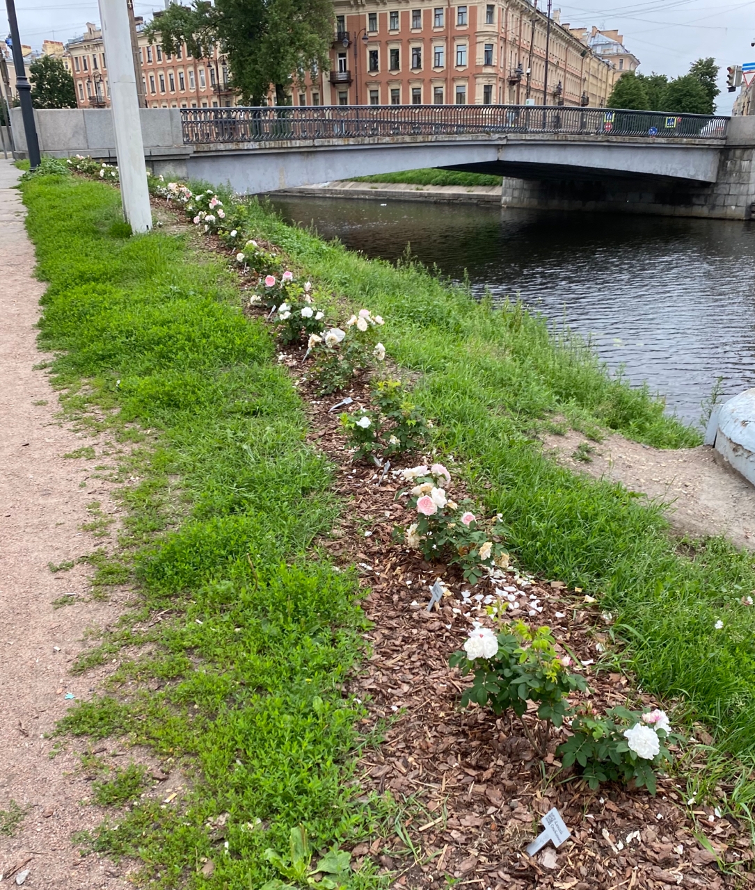 Порт, маяки и острова: Матисов, Гутуевский, Канонерский (8/18)