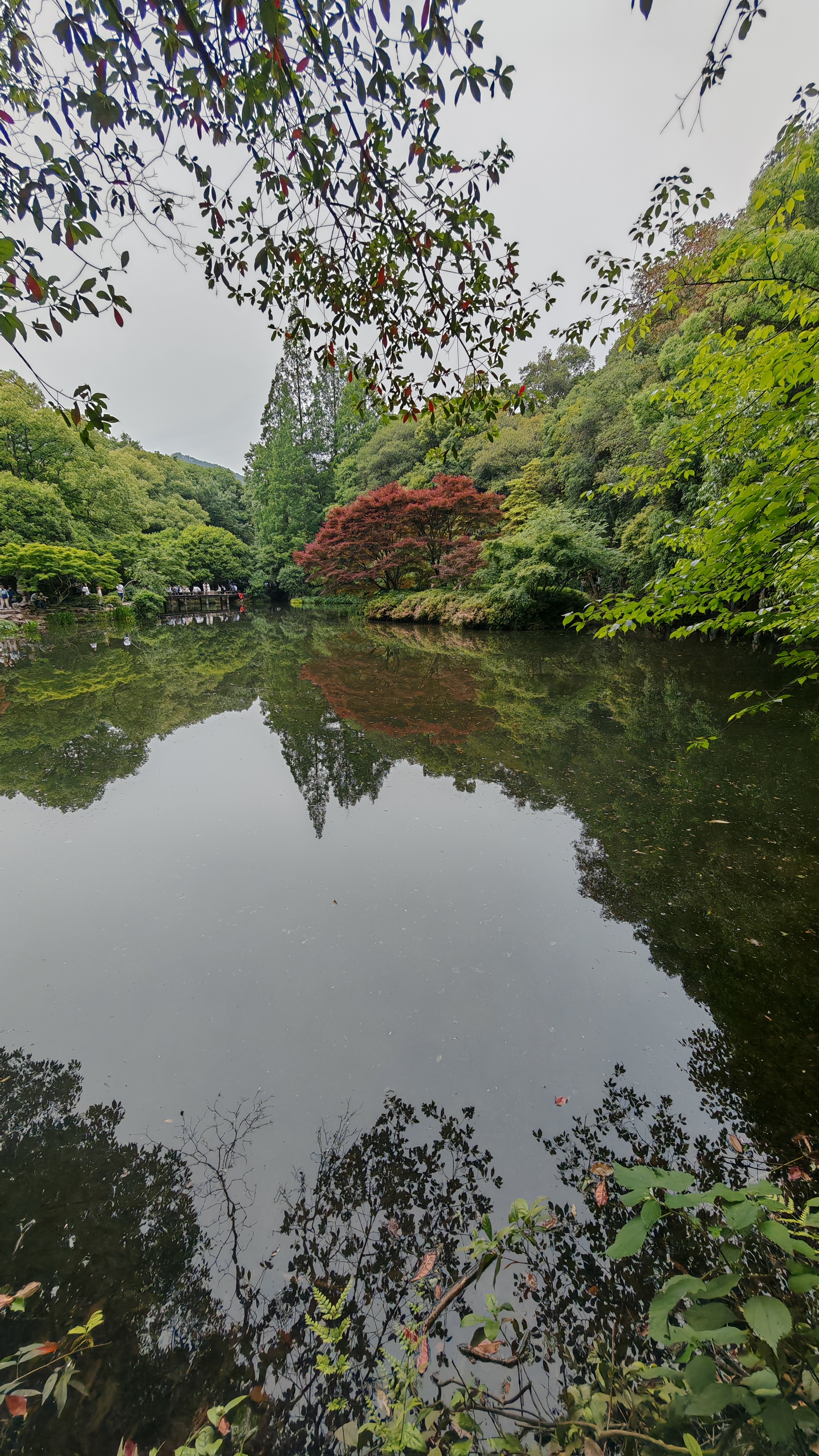 Красоты Восточного Китая: Шанхай, Чжуцзяцзяо, озеро Циншань, рассвет в горах Хуаншань (41/56)