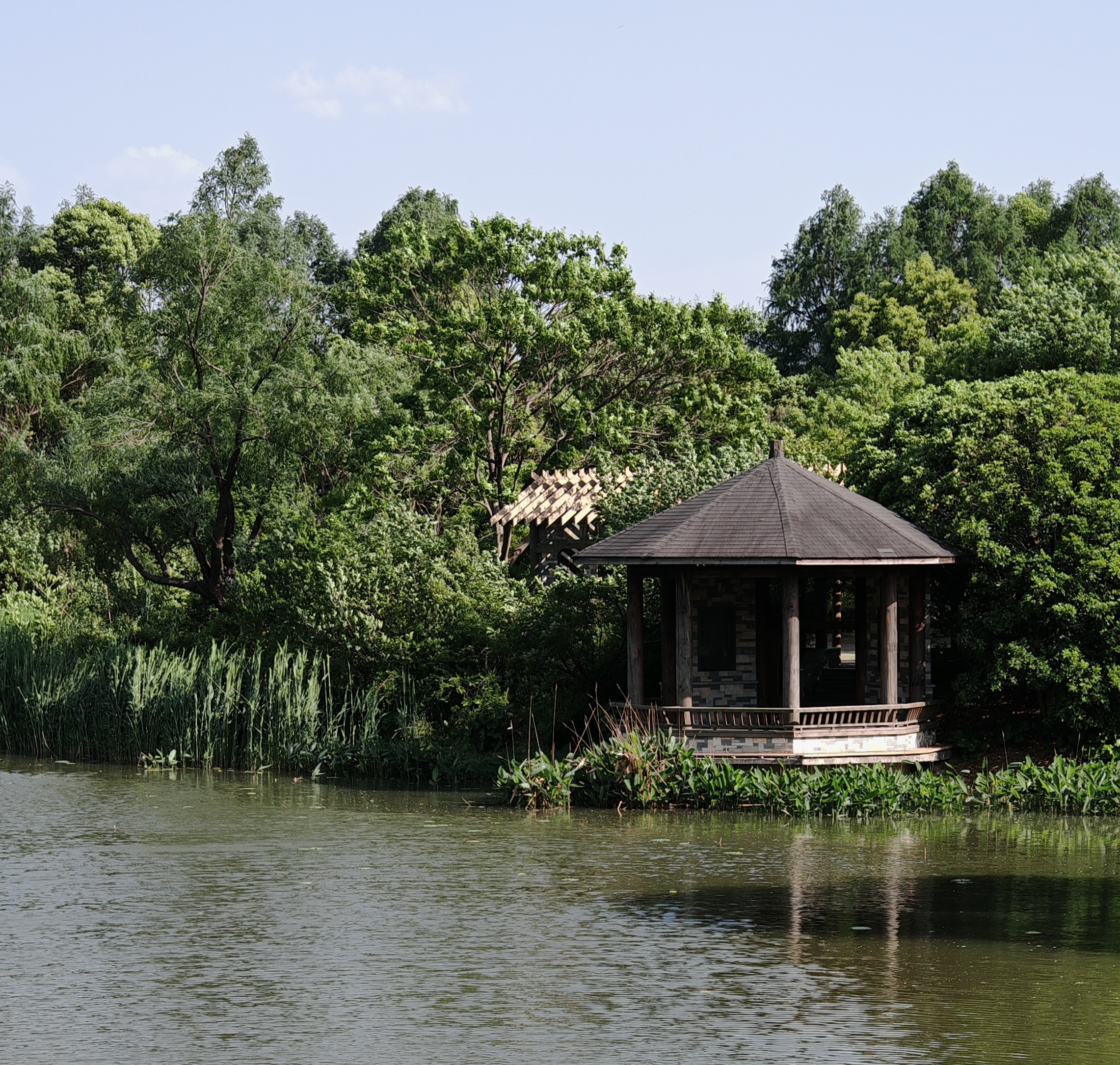 Красоты Восточного Китая: Шанхай, Чжуцзяцзяо, озеро Циншань, рассвет в горах Хуаншань (24/56)