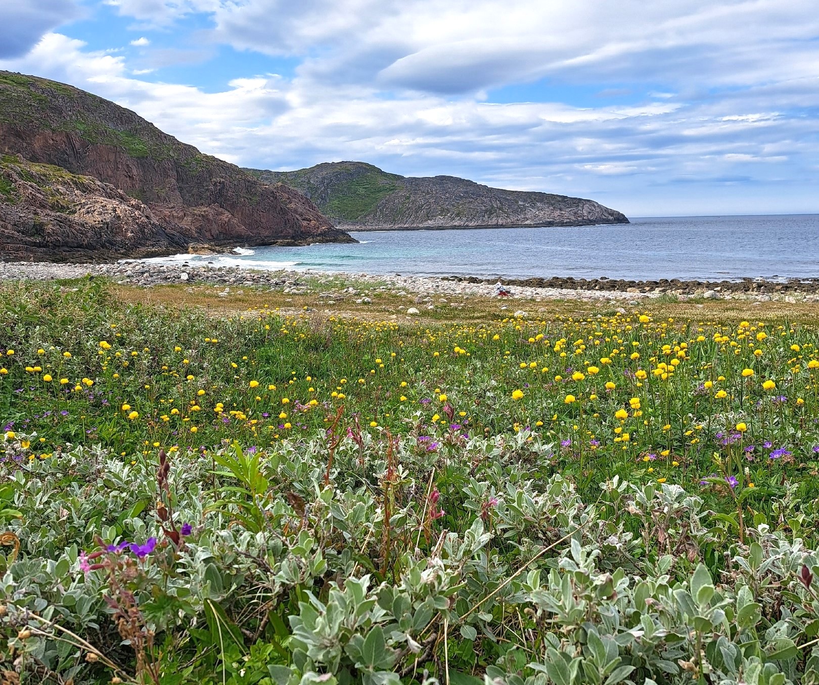 Лапландия Кольского полуострова: Терский берег и дикая природа севера (13/16)