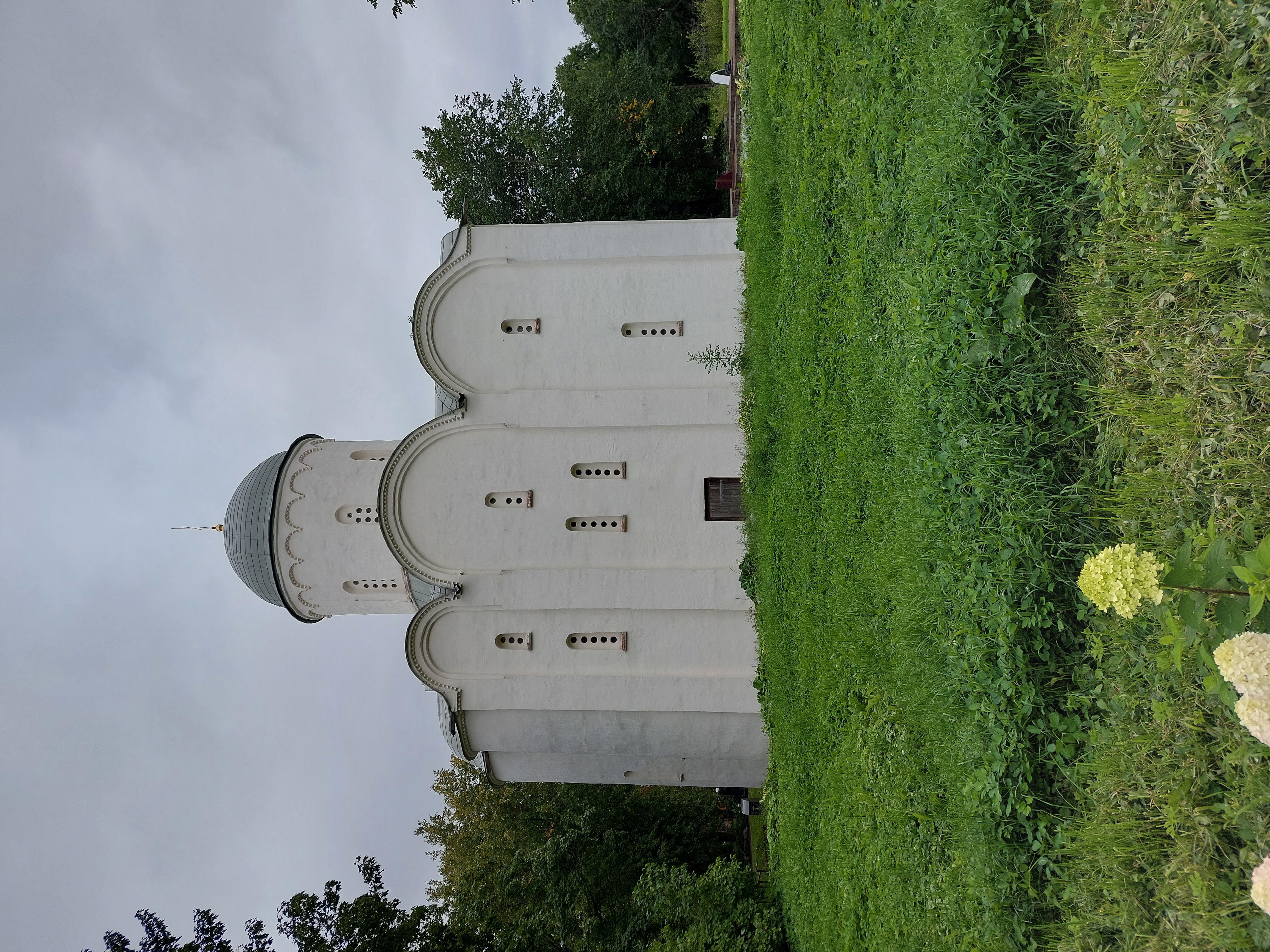 Корюшка идёт!