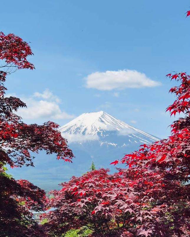 Японский праздник жизни  Япония Осень (14/38)