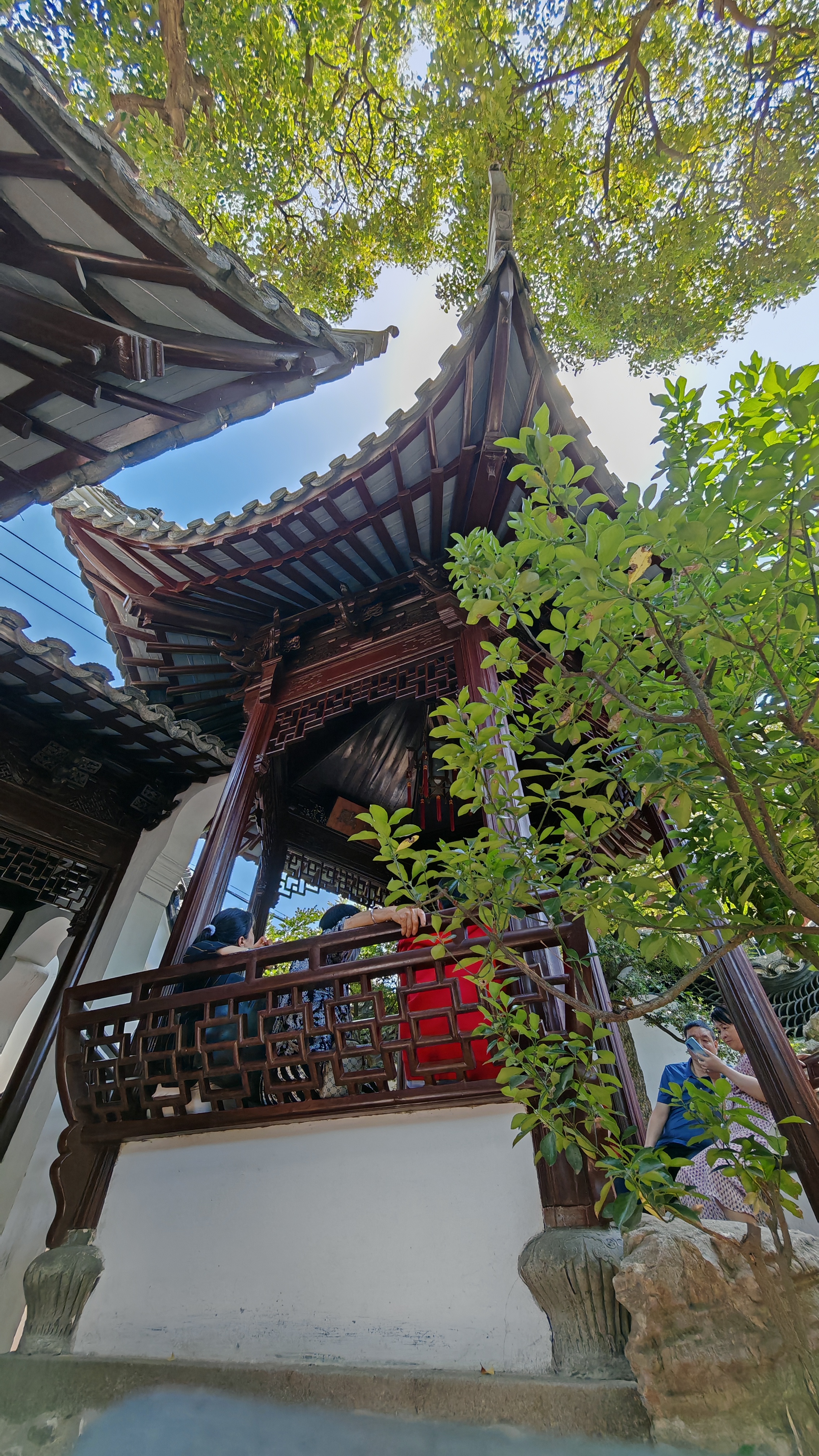 Красоты Восточного Китая: Шанхай, Чжуцзяцзяо, озеро Циншань, рассвет в горах Хуаншань (27/56)