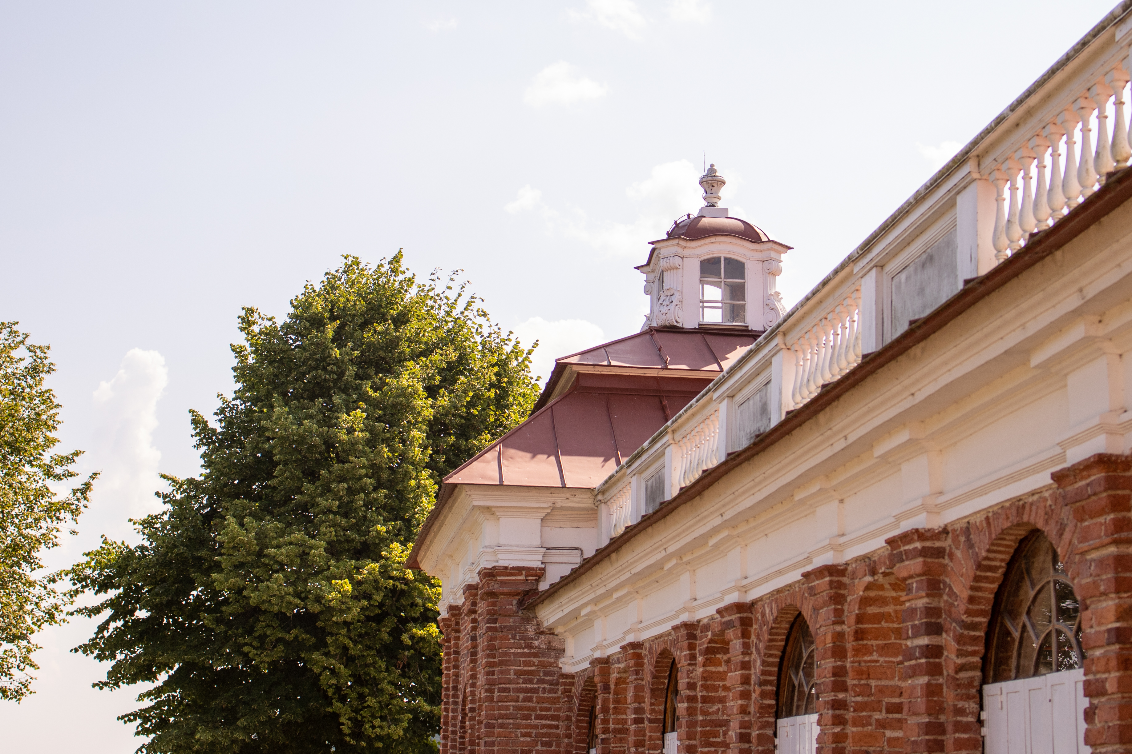 Весенний праздник открытия фонтанов в Петергофе (4/9)