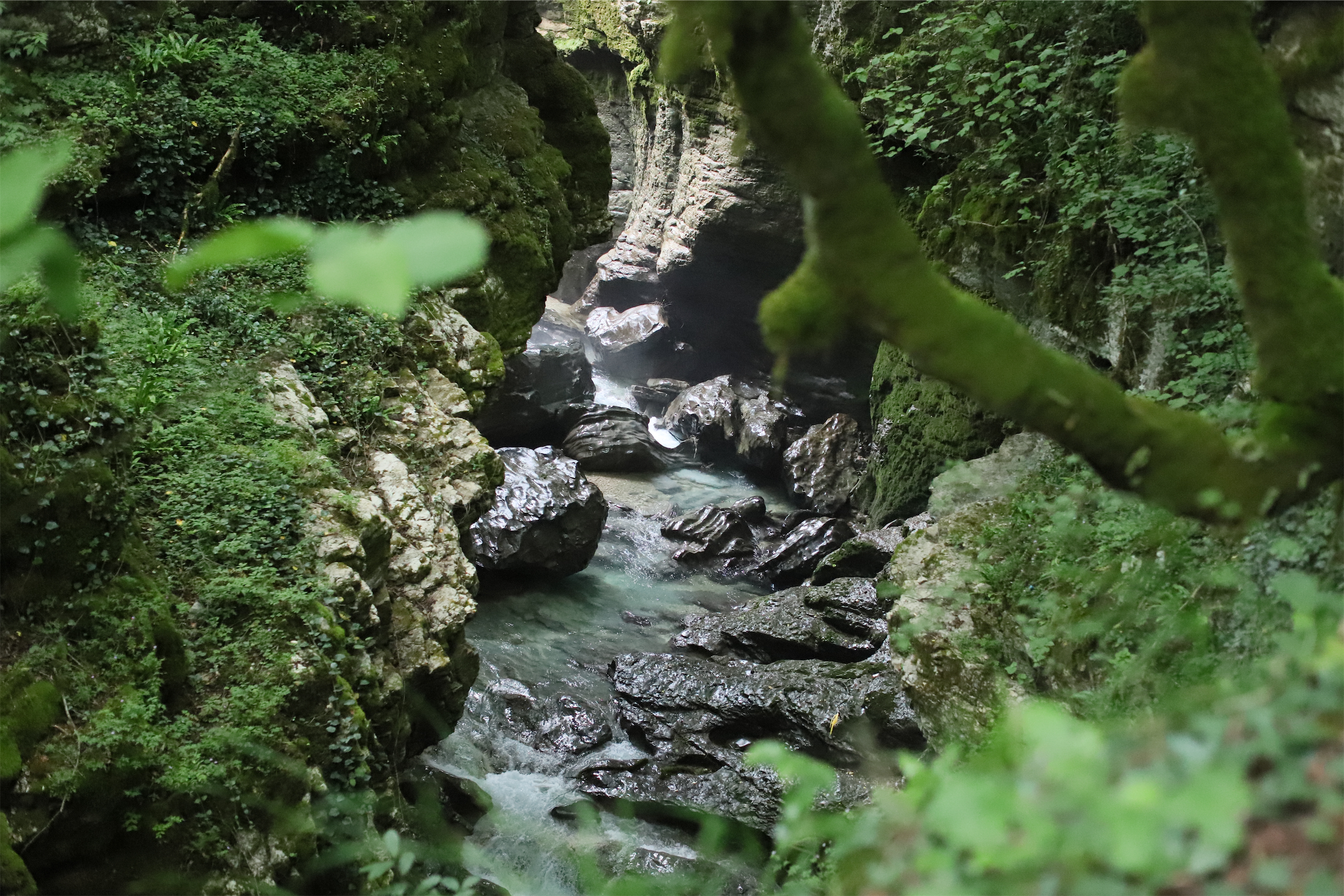 Через всю Грузию с комфортом: Тбилиси, Батуми и Кахетия (43/50)