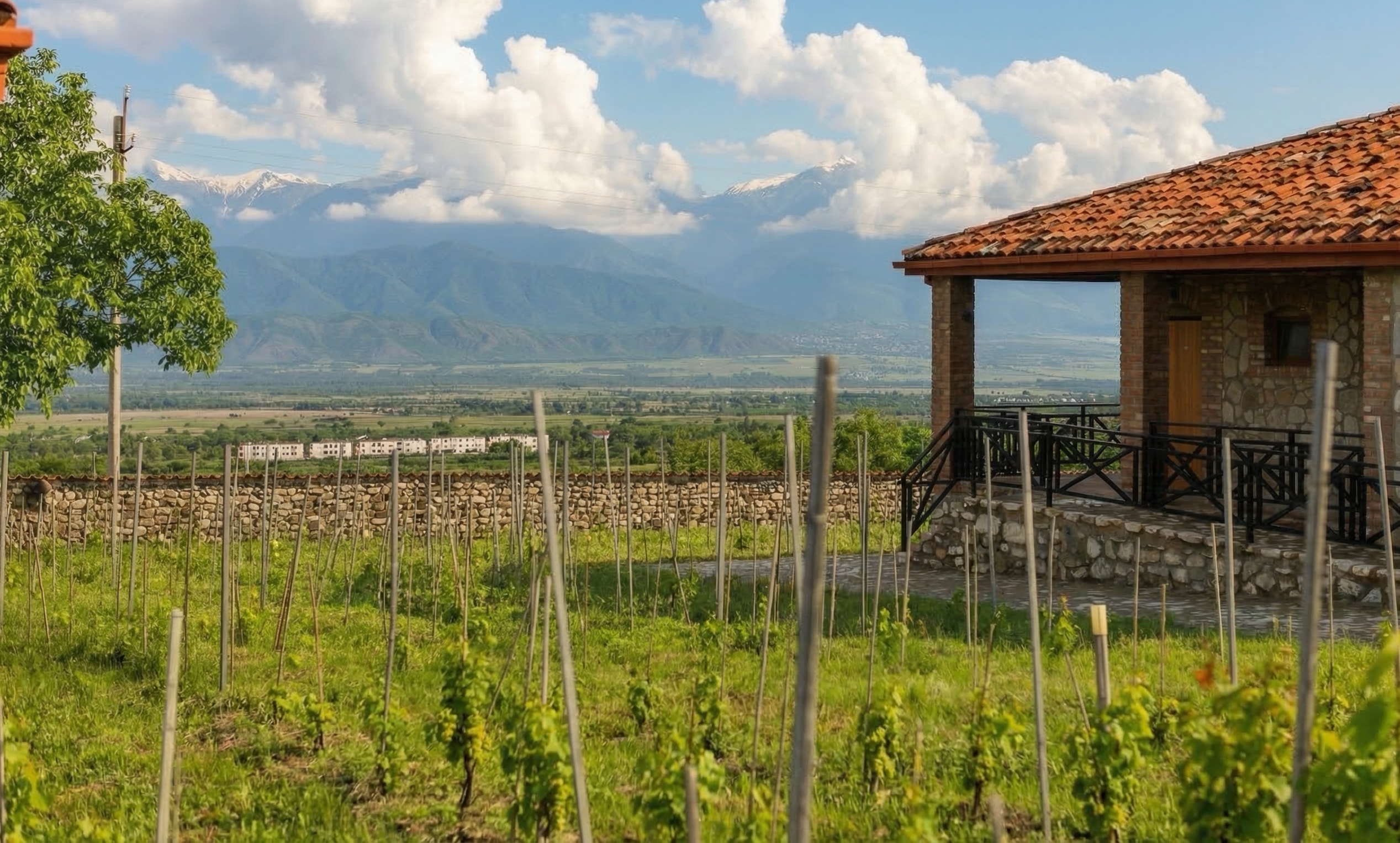 Через всю Грузию с комфортом: Тбилиси, Батуми и Кахетия (17/50)