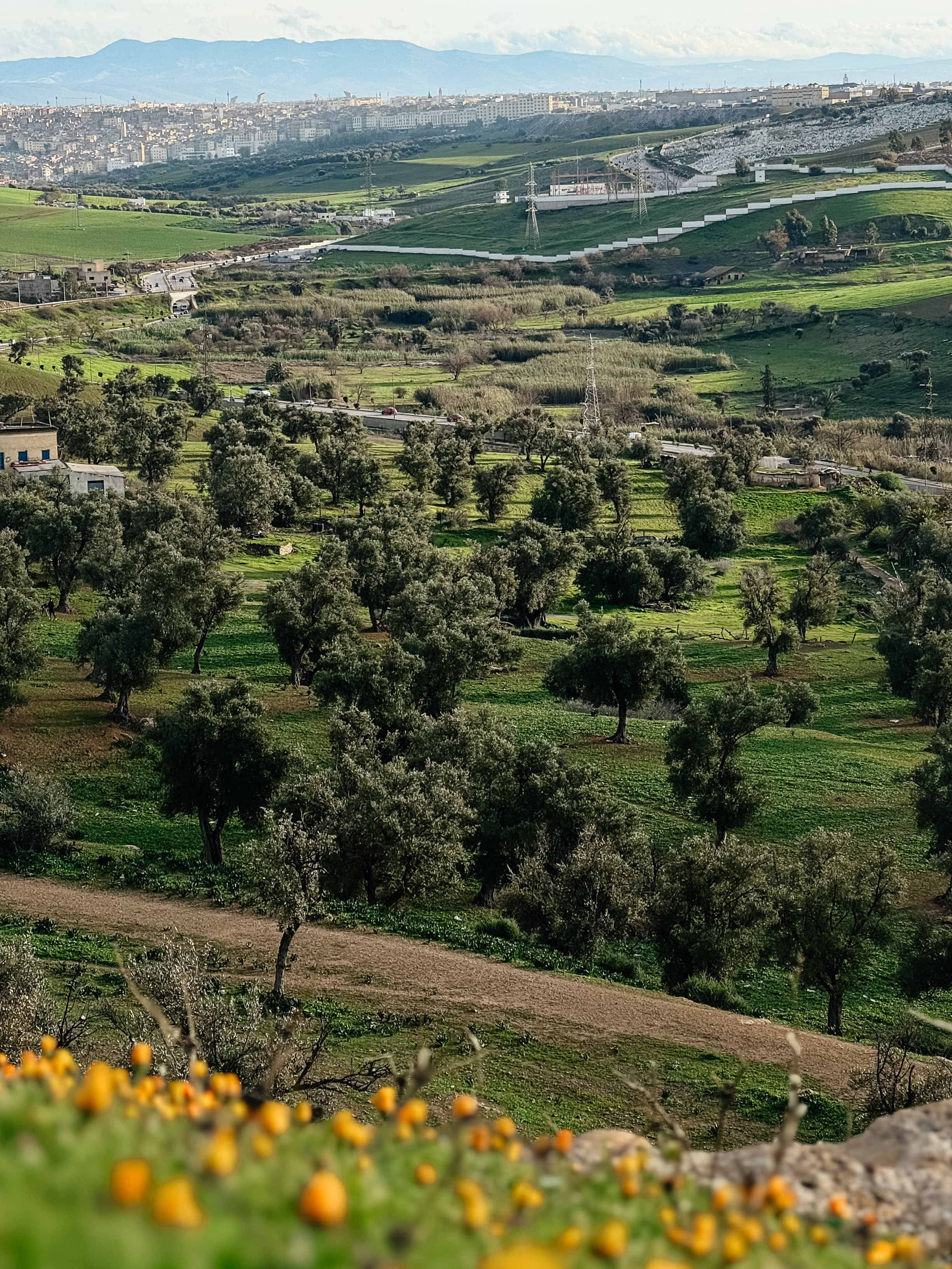 Марокко - летние горы и океан с фотографом (эконом тур) (63/88)