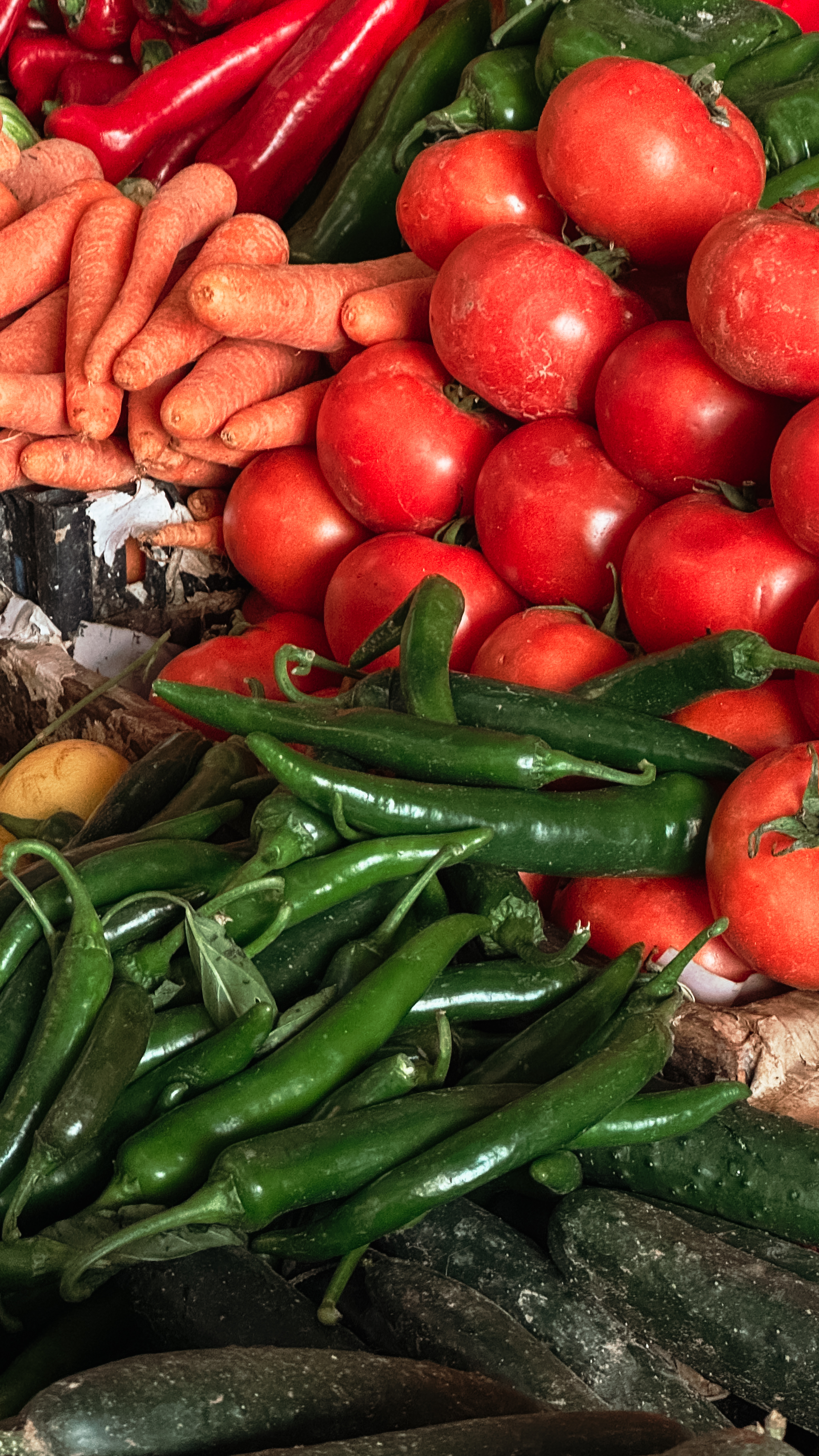 Марокко - летние горы и океан с фотографом (эконом тур) (59/88)