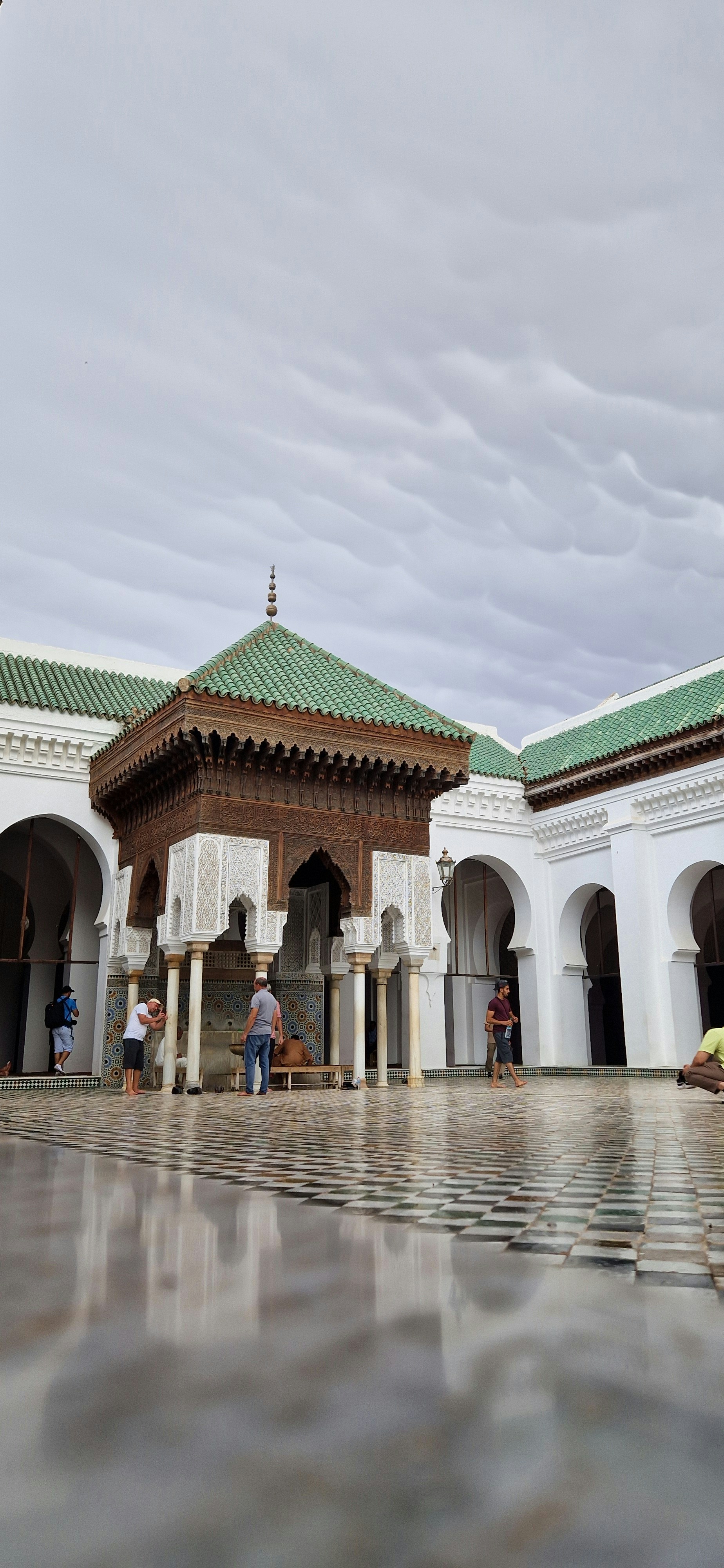 Краски Марокко: от Синего города до руин Волюбилиса (30/41)