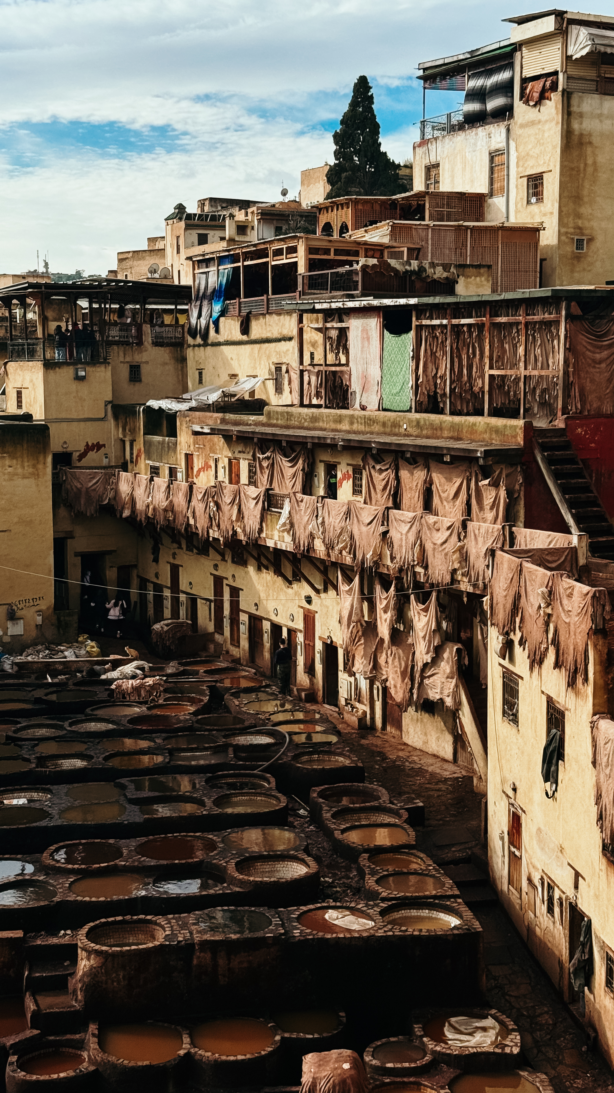 Марокко - летние горы и океан с фотографом (эконом тур) (57/88)