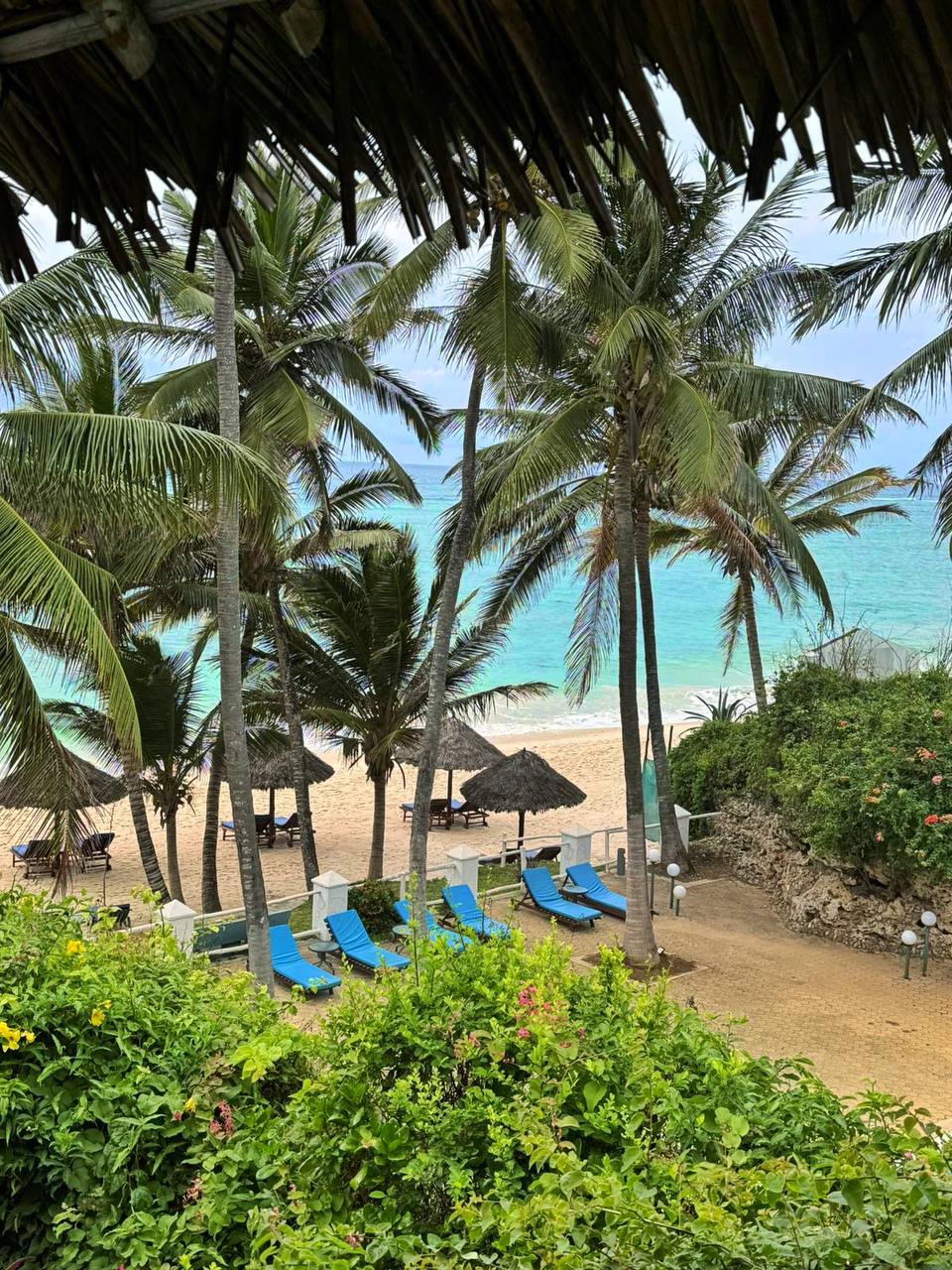 Полная акуна матата