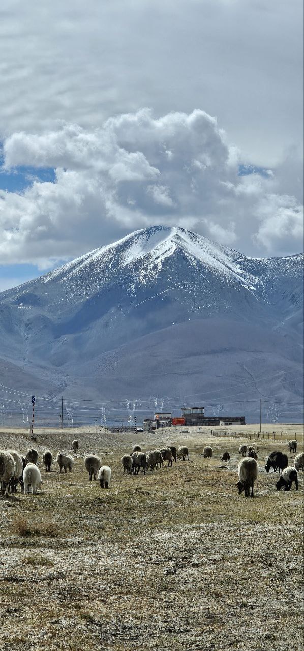 Лхаса-Шигадзе-Эверест (7 дней) индивидуально