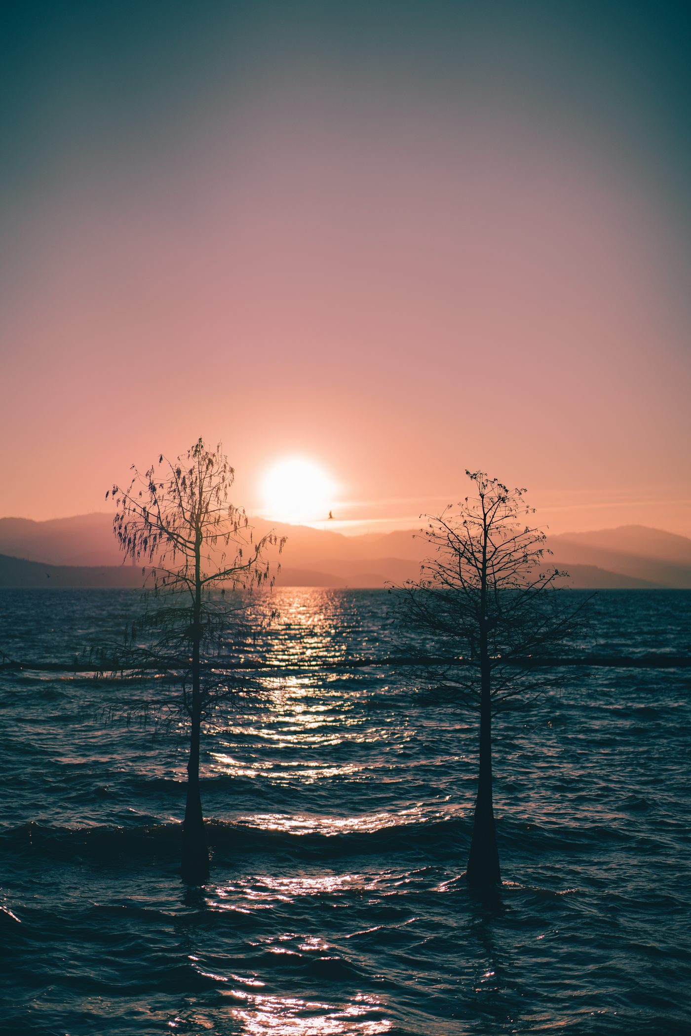 11 дней в горах Тибета: Ущелье Прыгающего Тигра, Шангри-Ла, Дали, Лицзян (29/29)